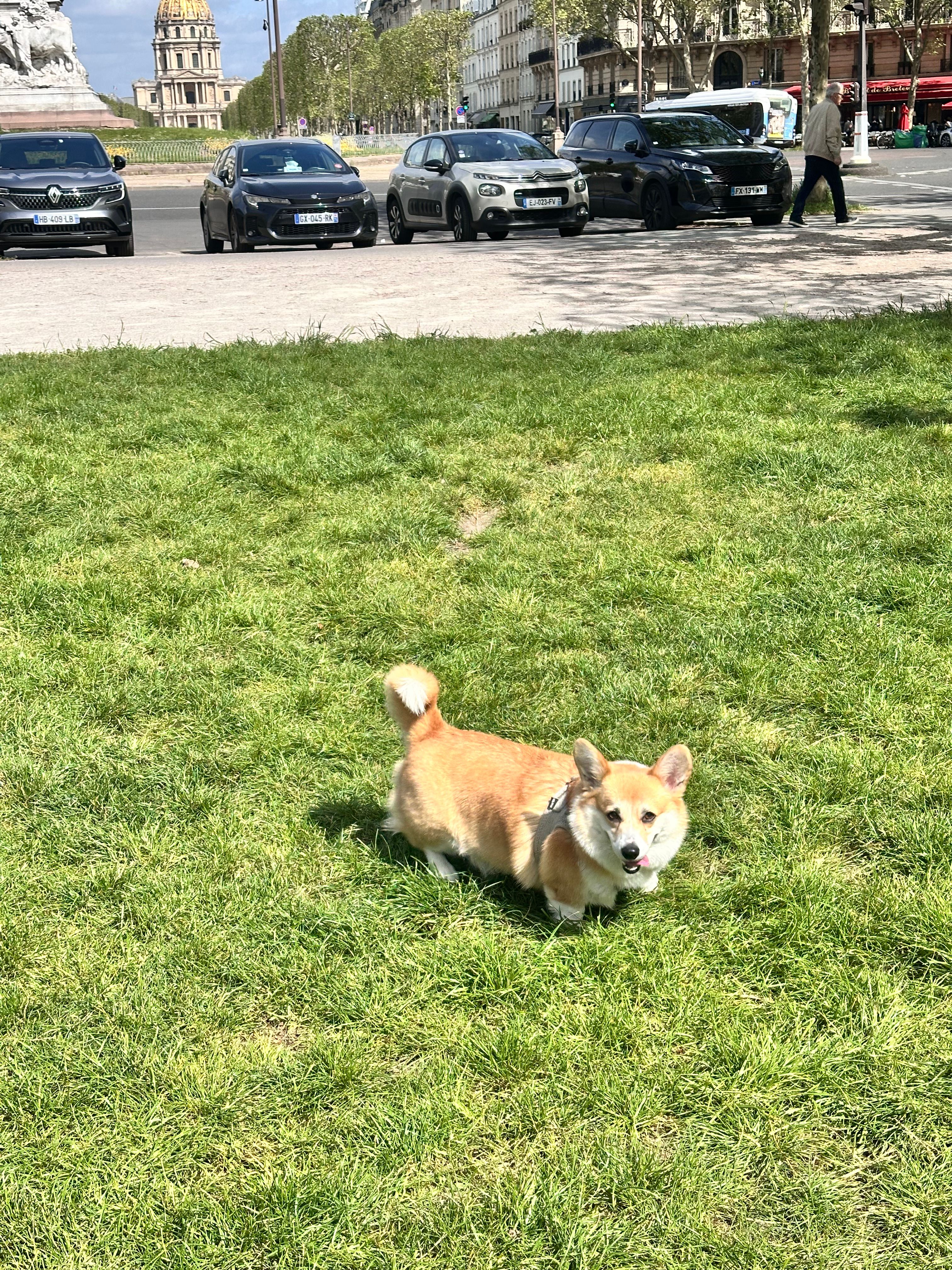 image-8