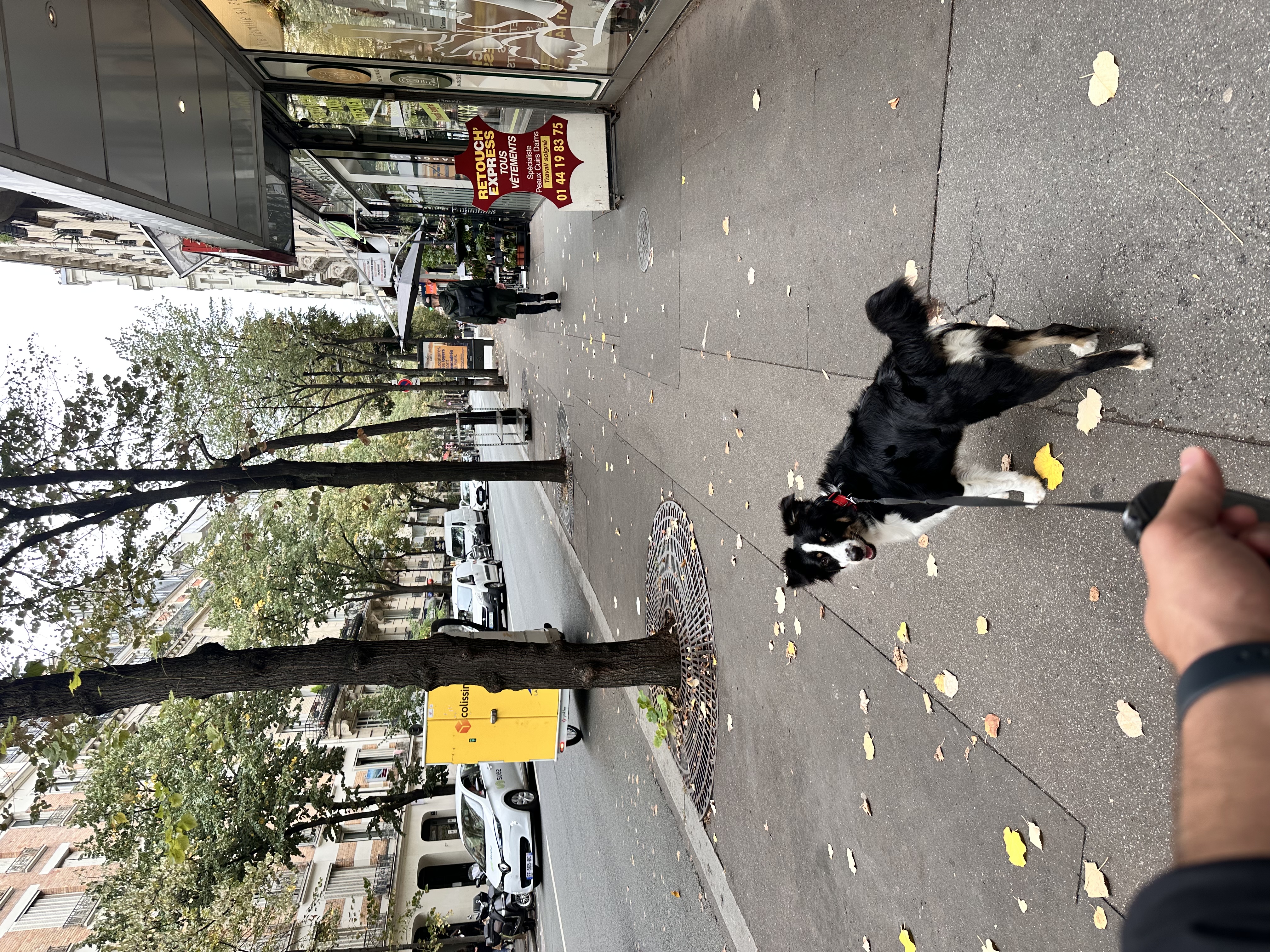 image-5