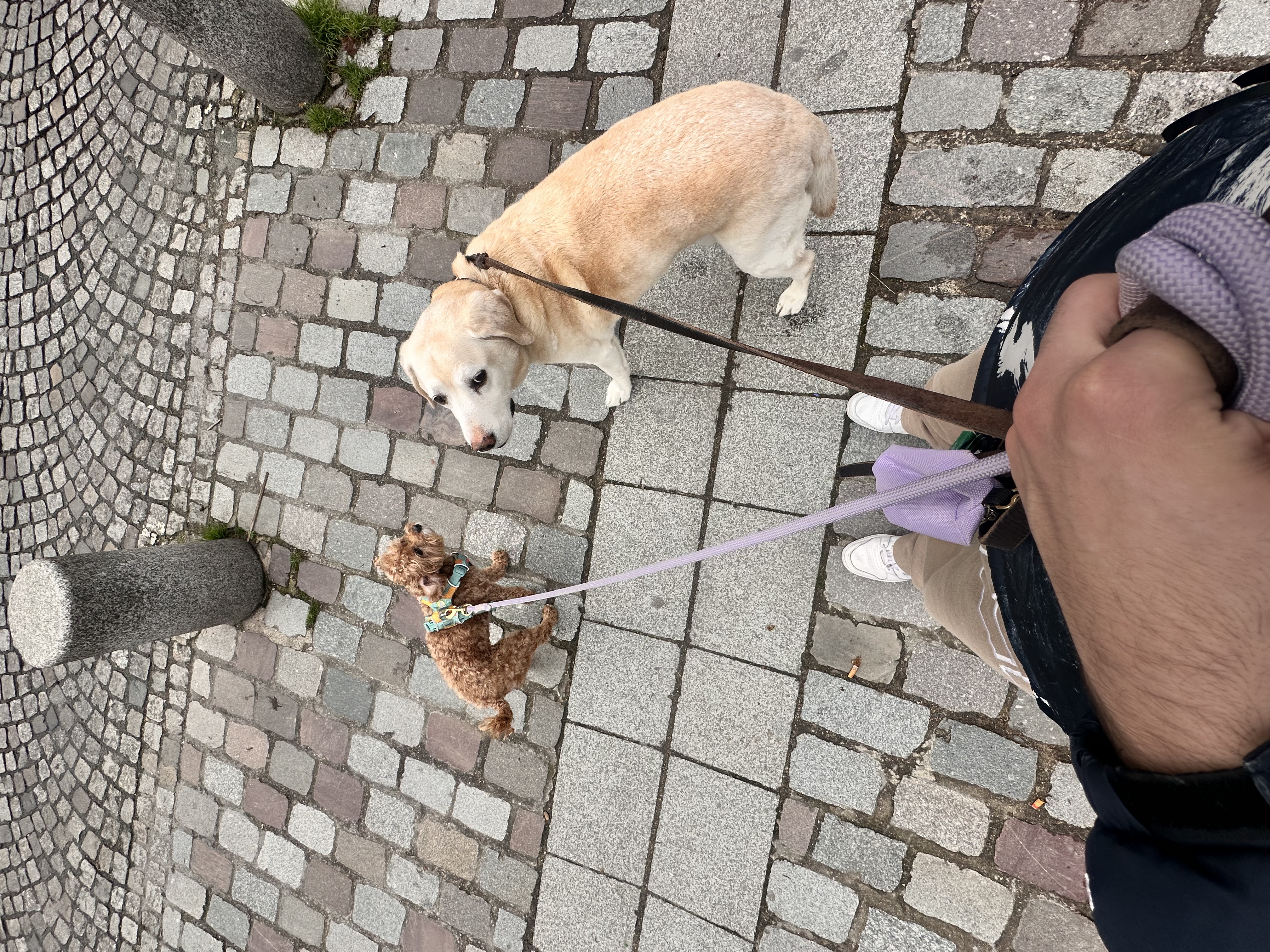 image-28