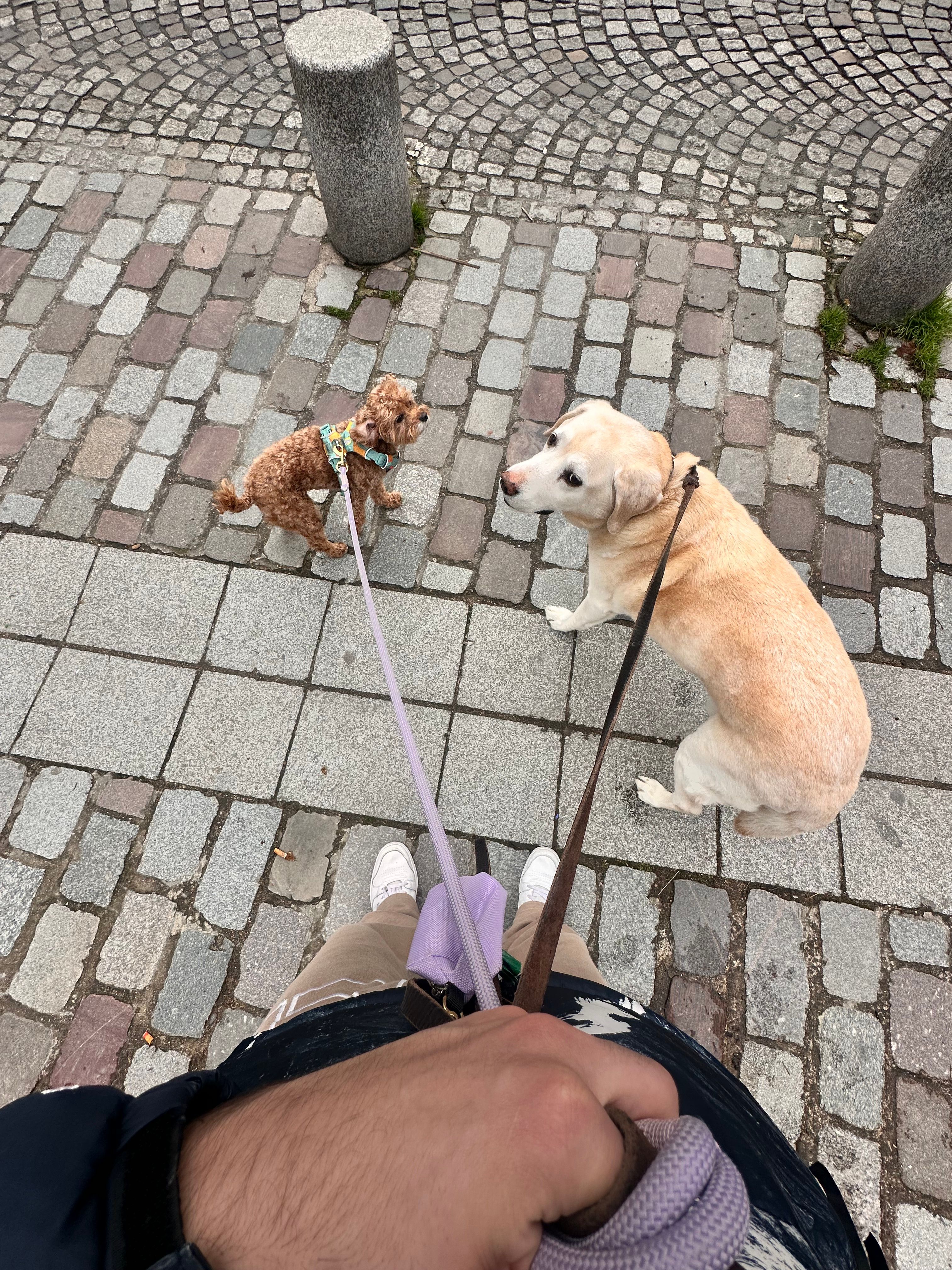 image-28