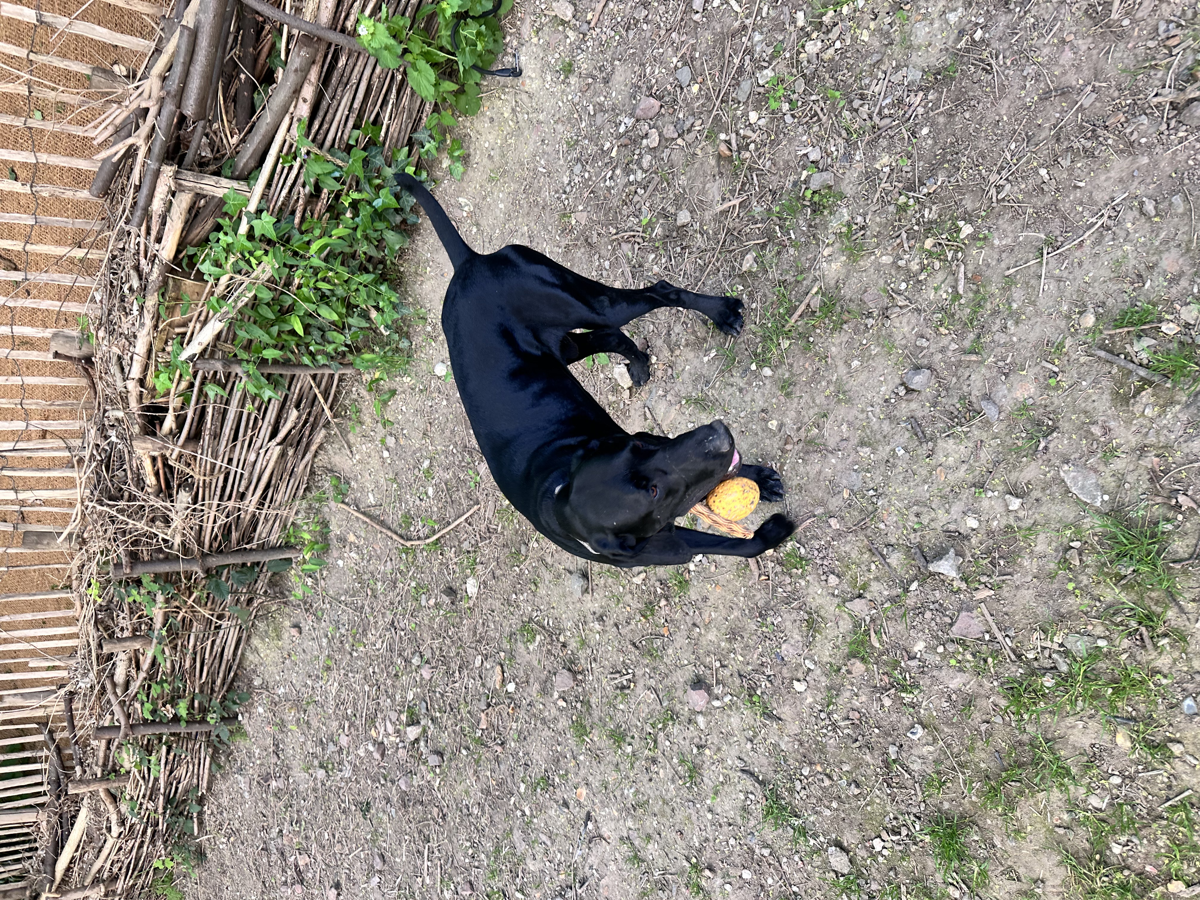 image-12