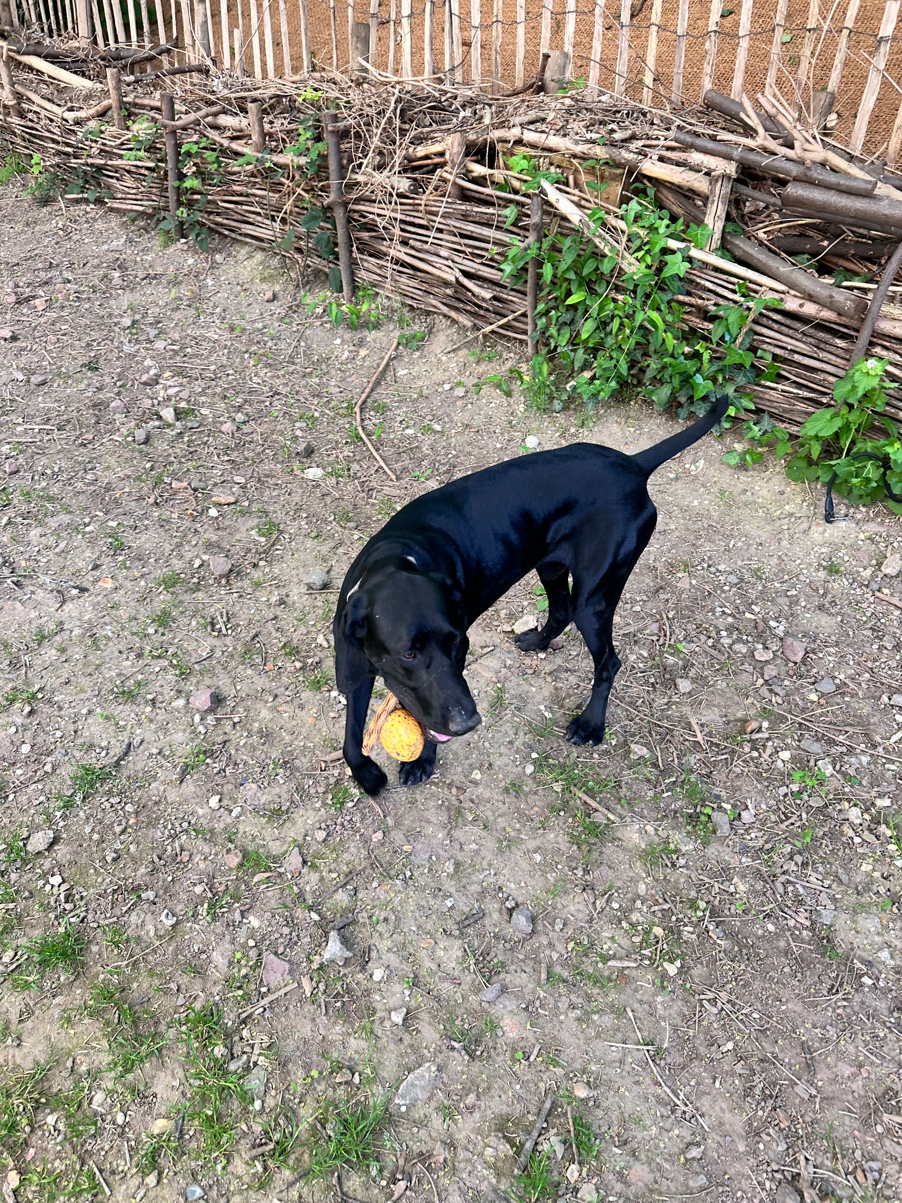 image-12