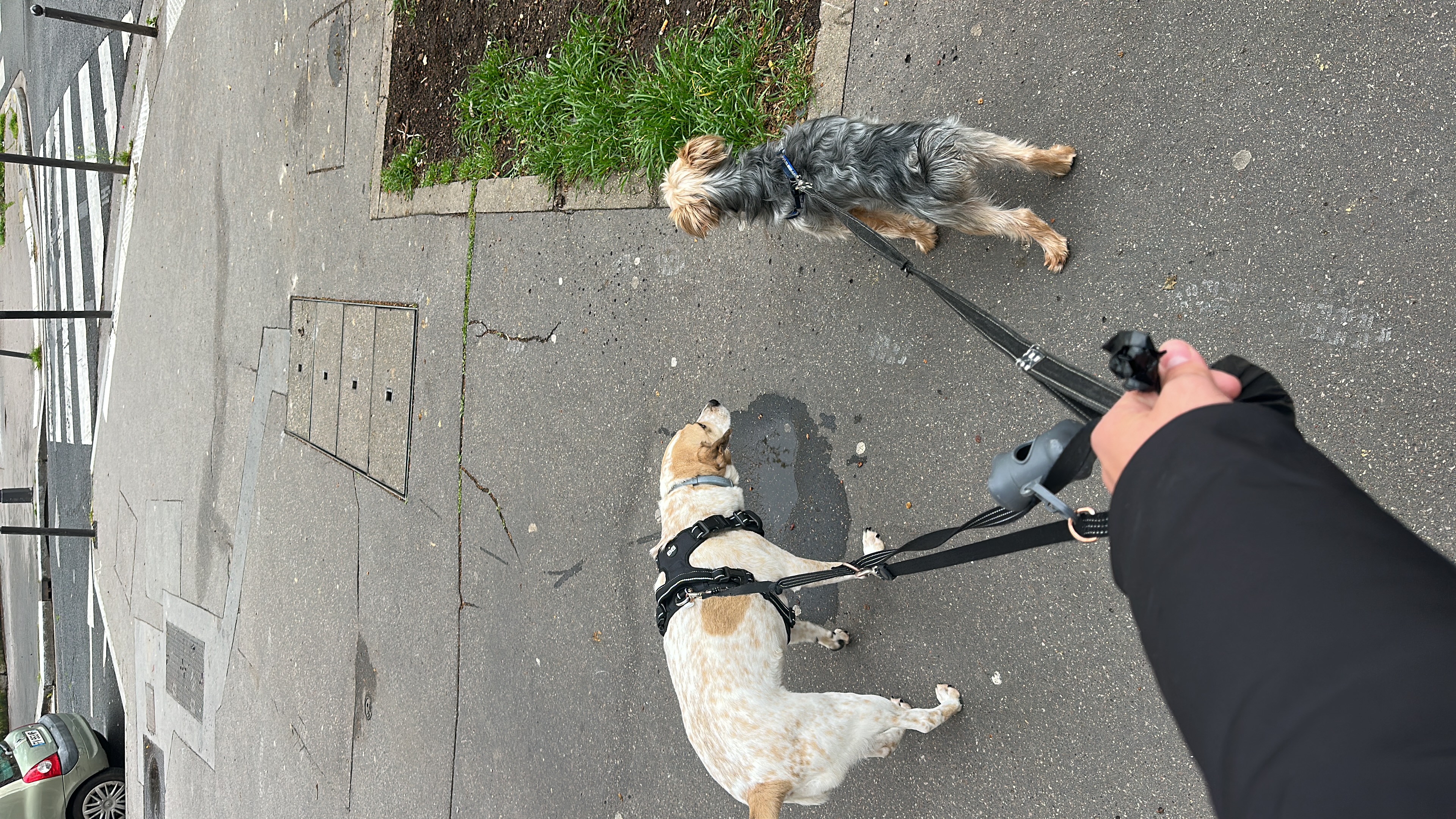 image-17