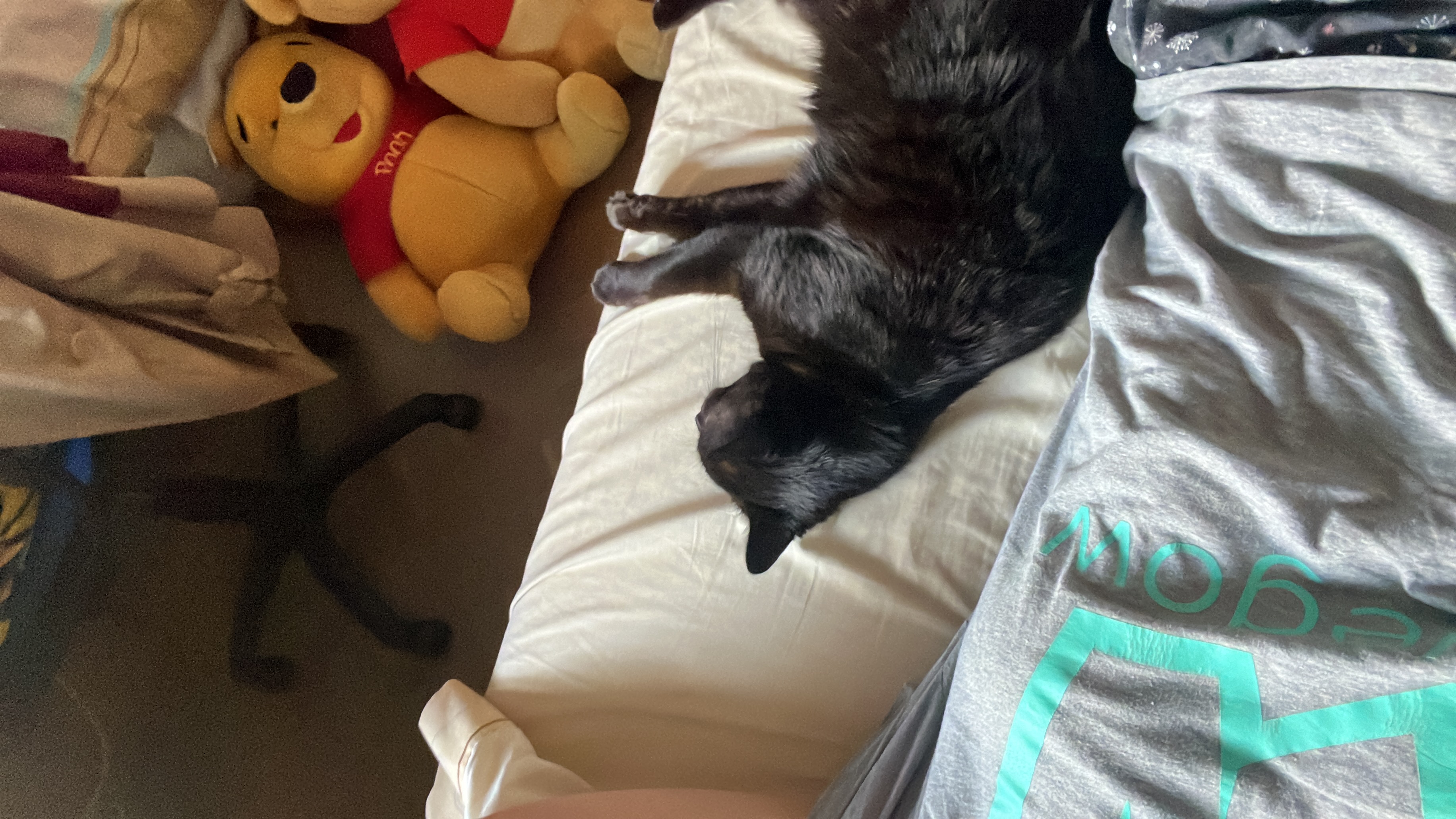 image-6