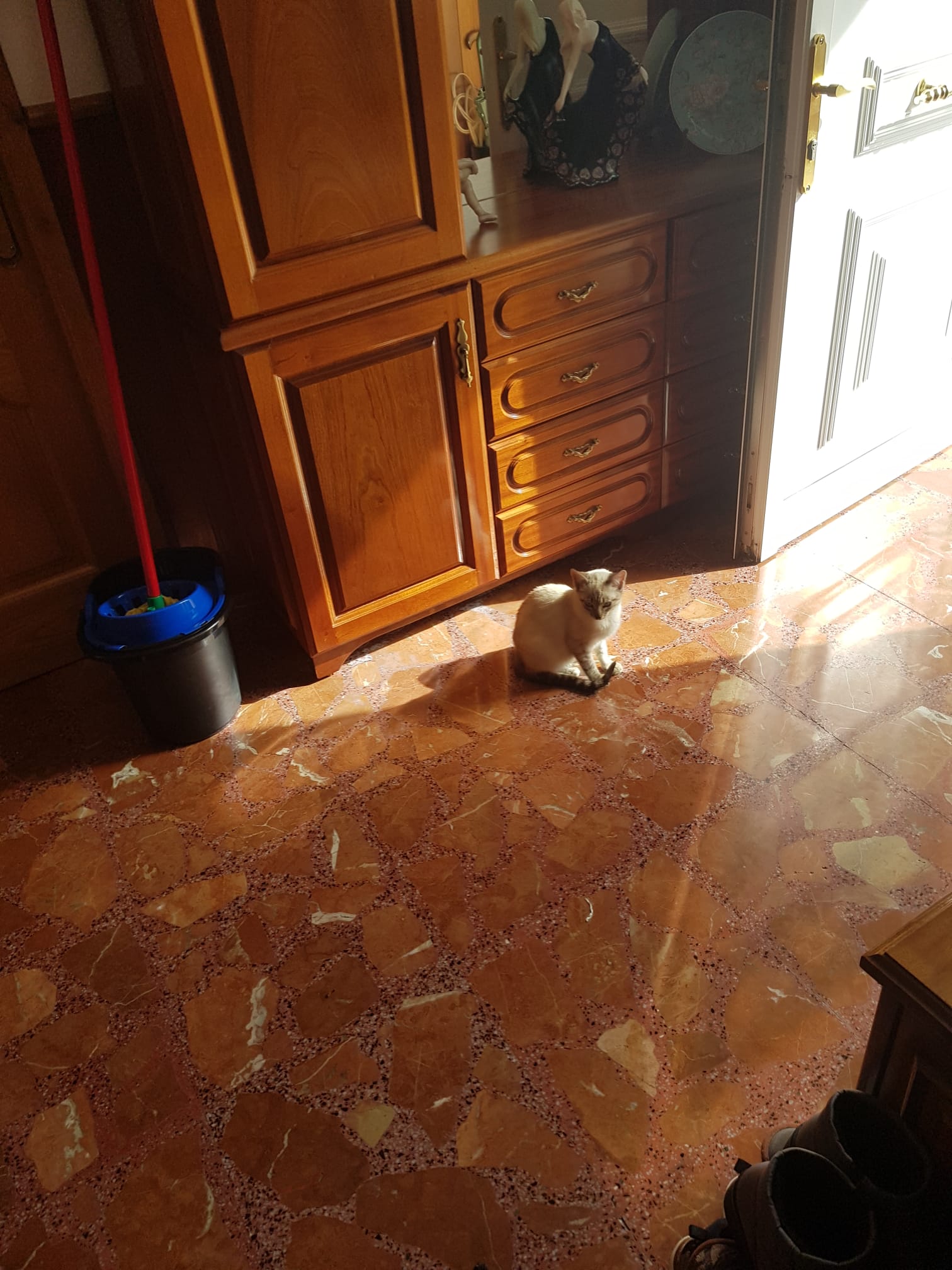 image-8