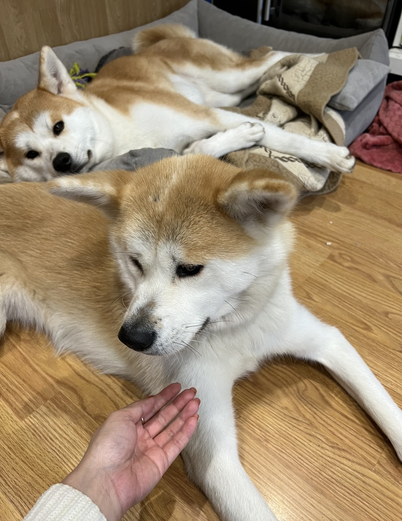 image-9