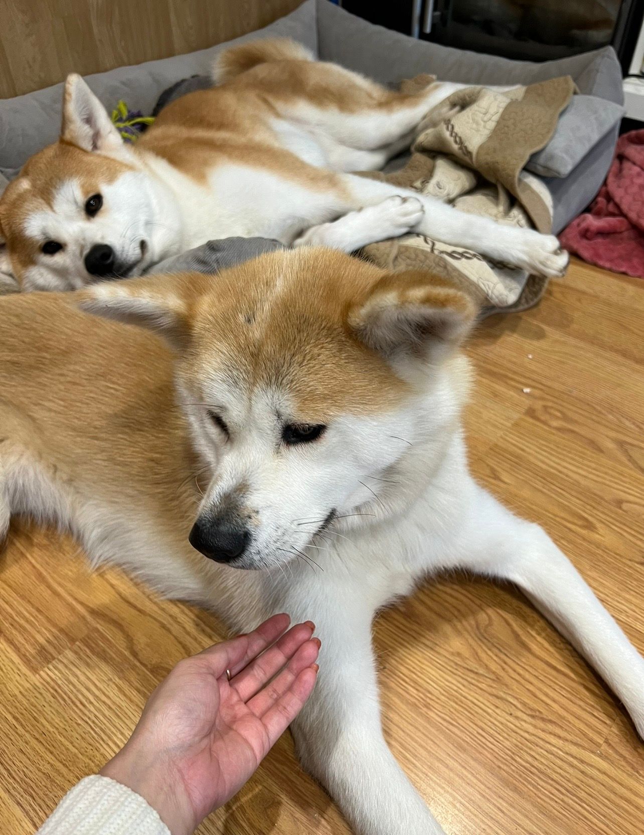 image-9