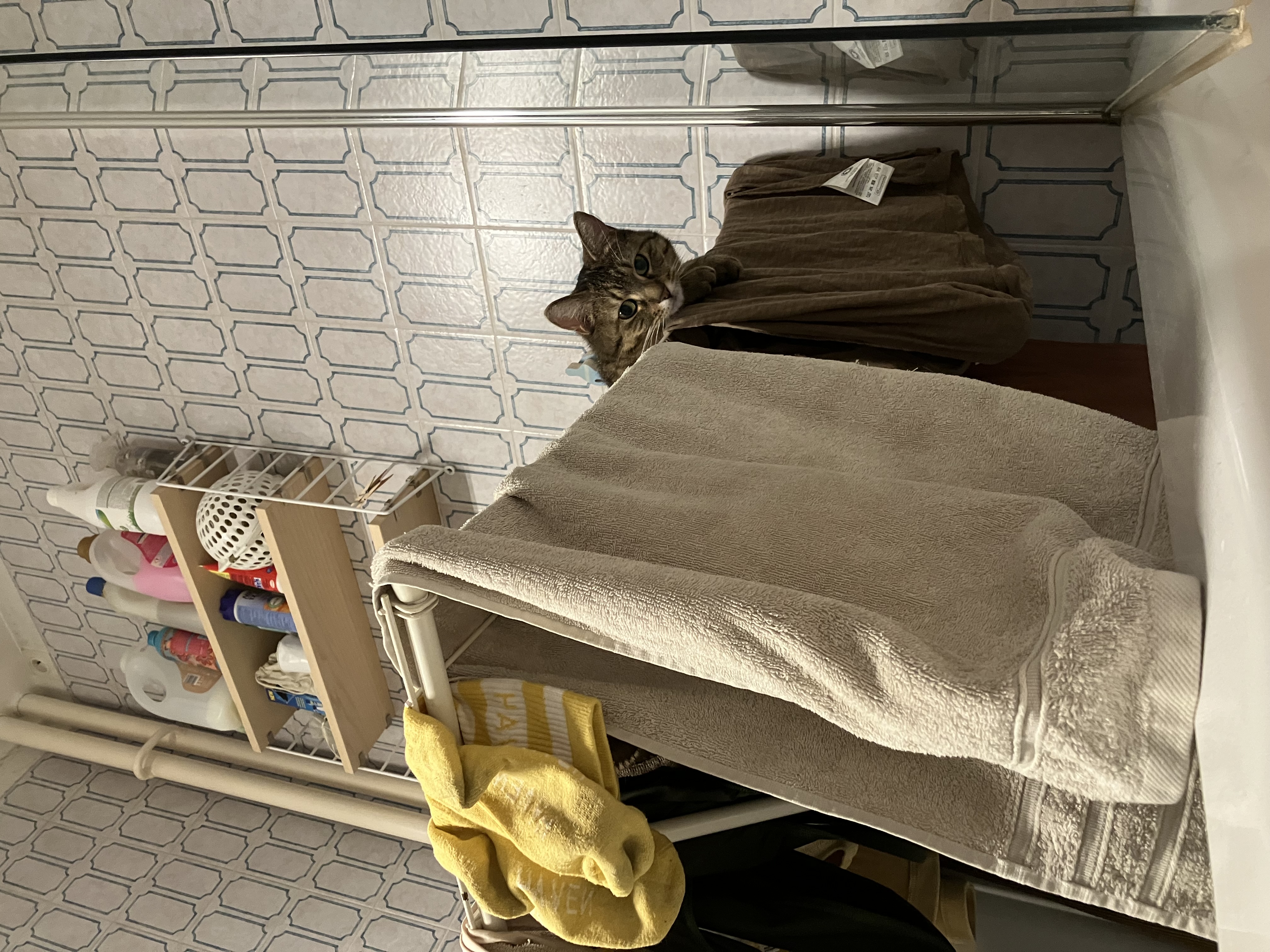 image-8