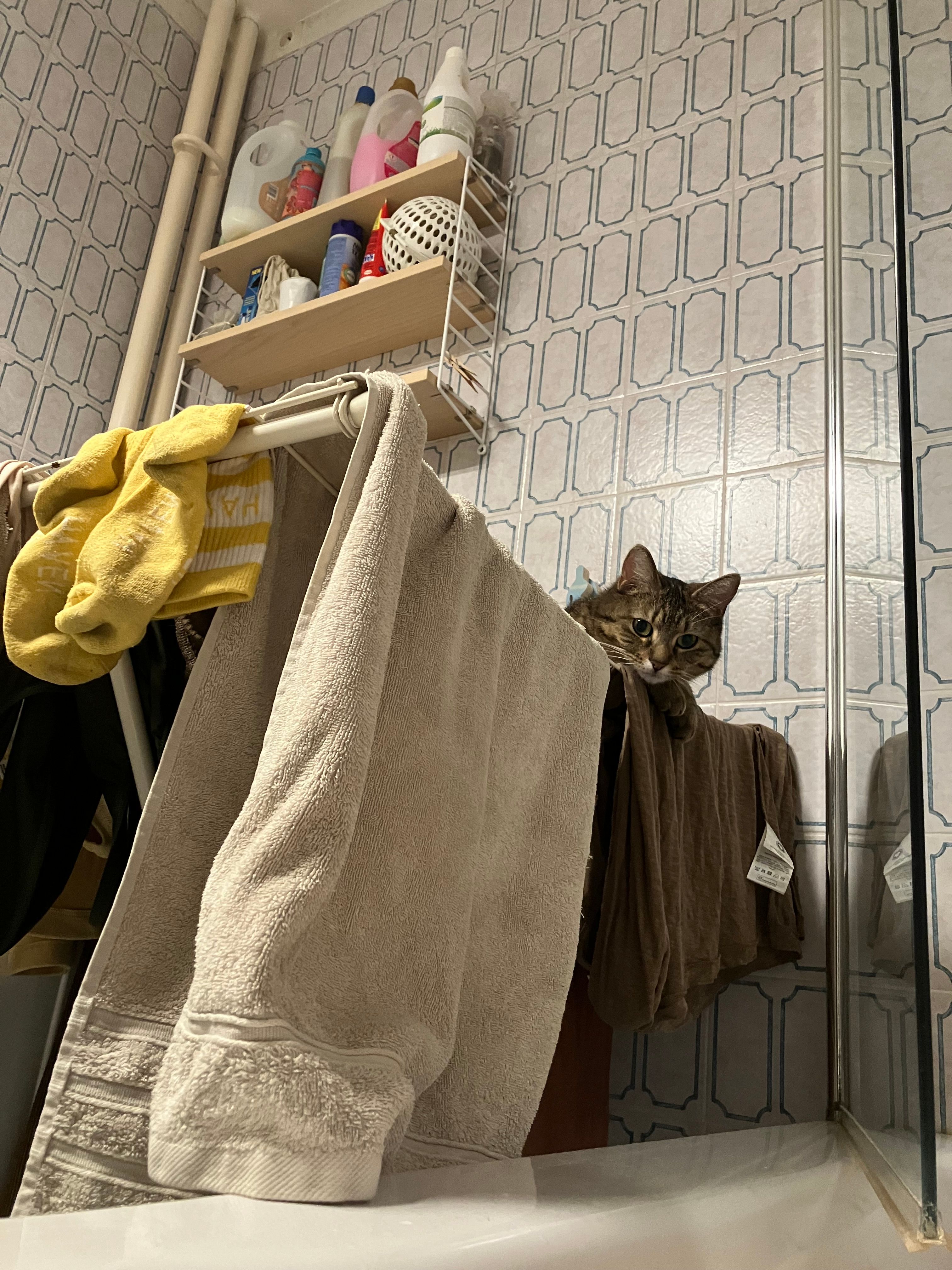 image-8