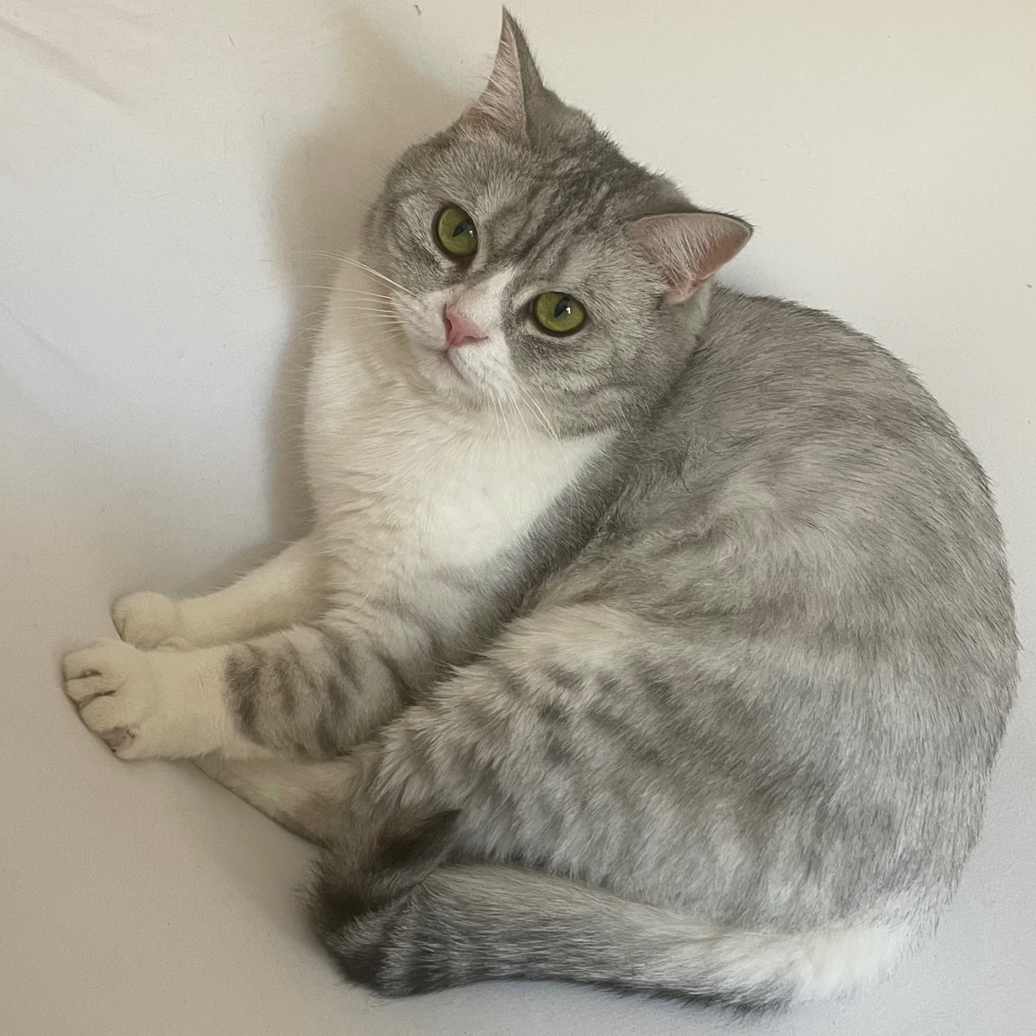 Lilibet