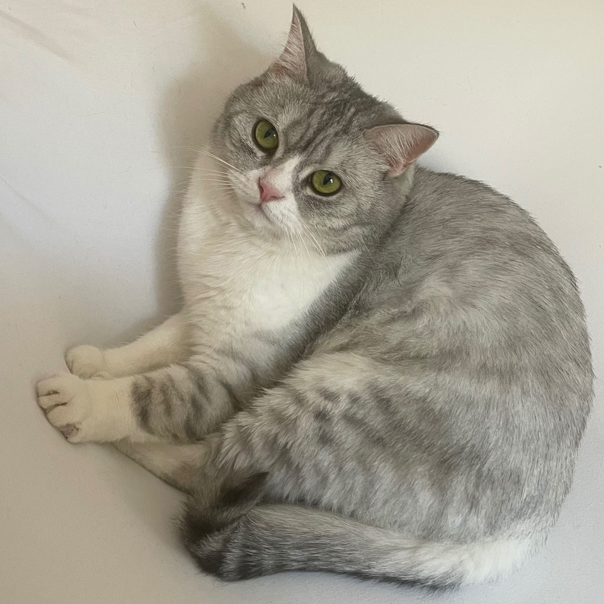Lilibet