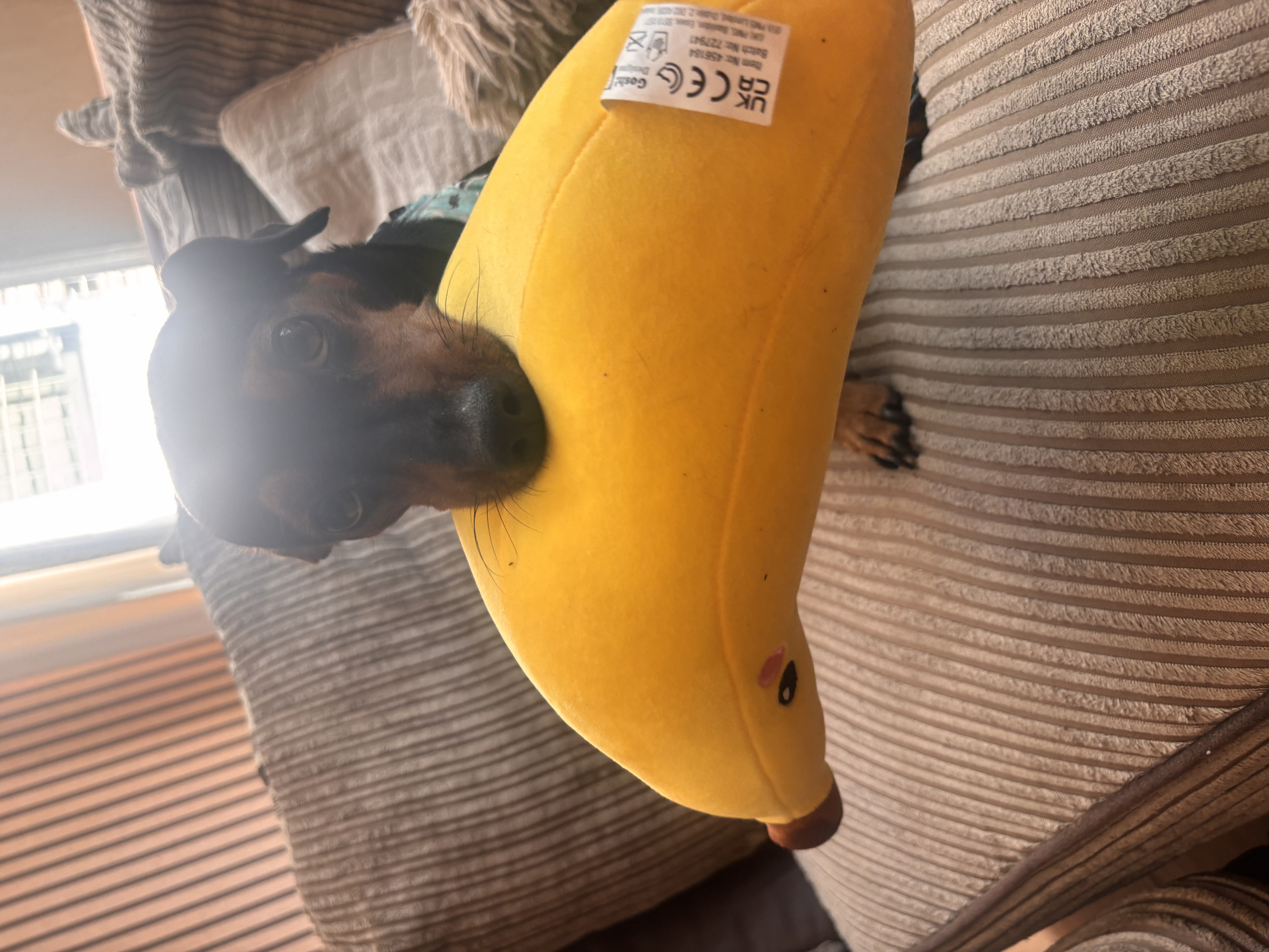 image-11