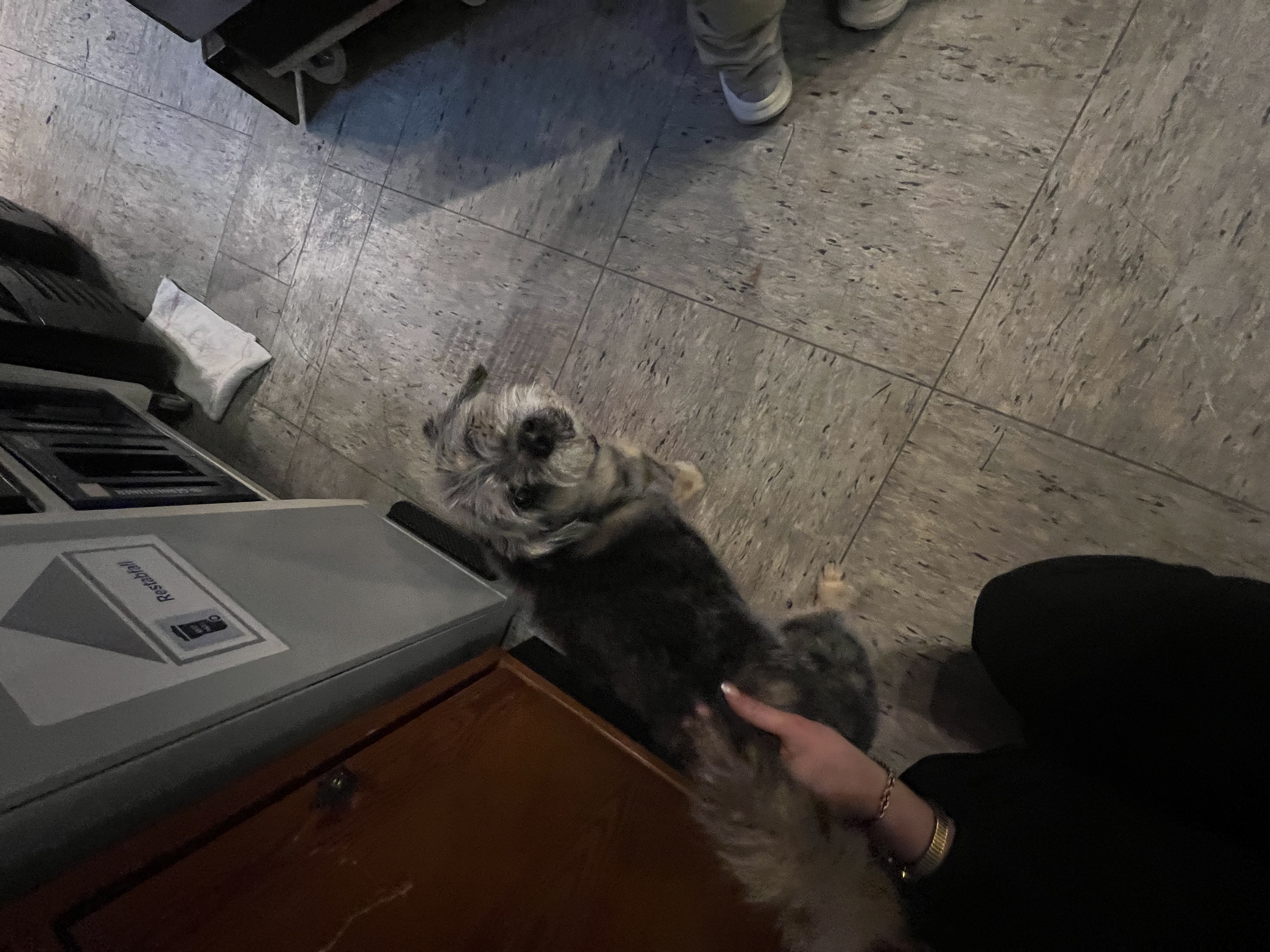 image-9