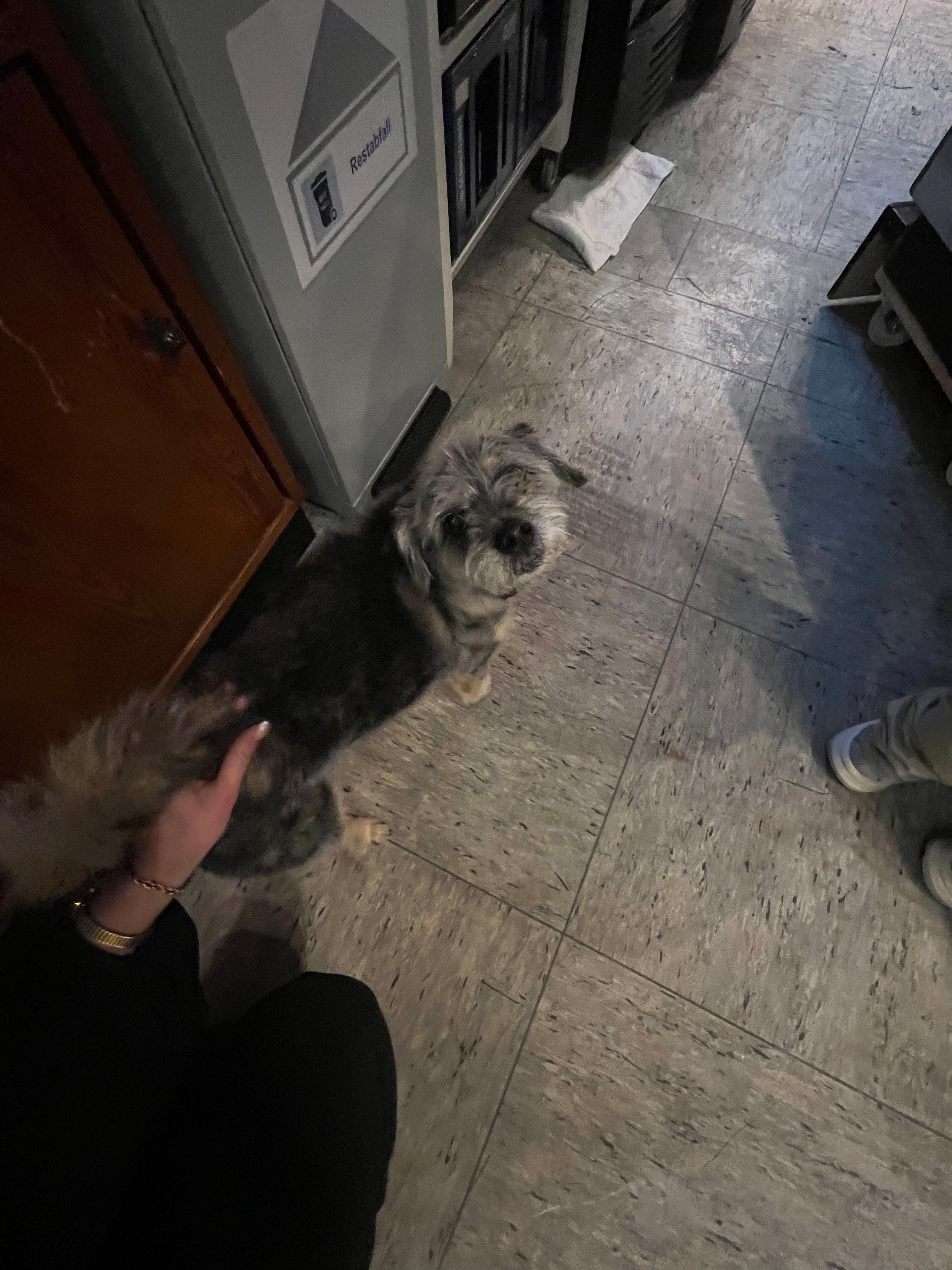 image-9