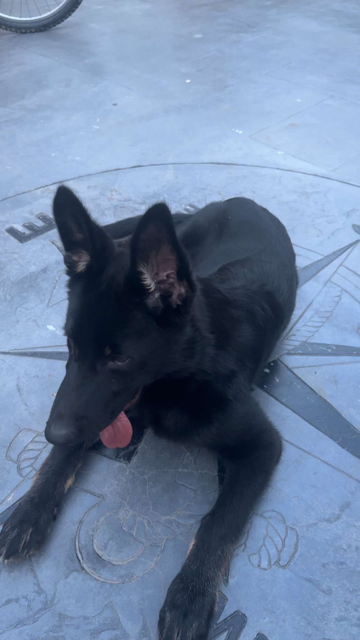 image-5
