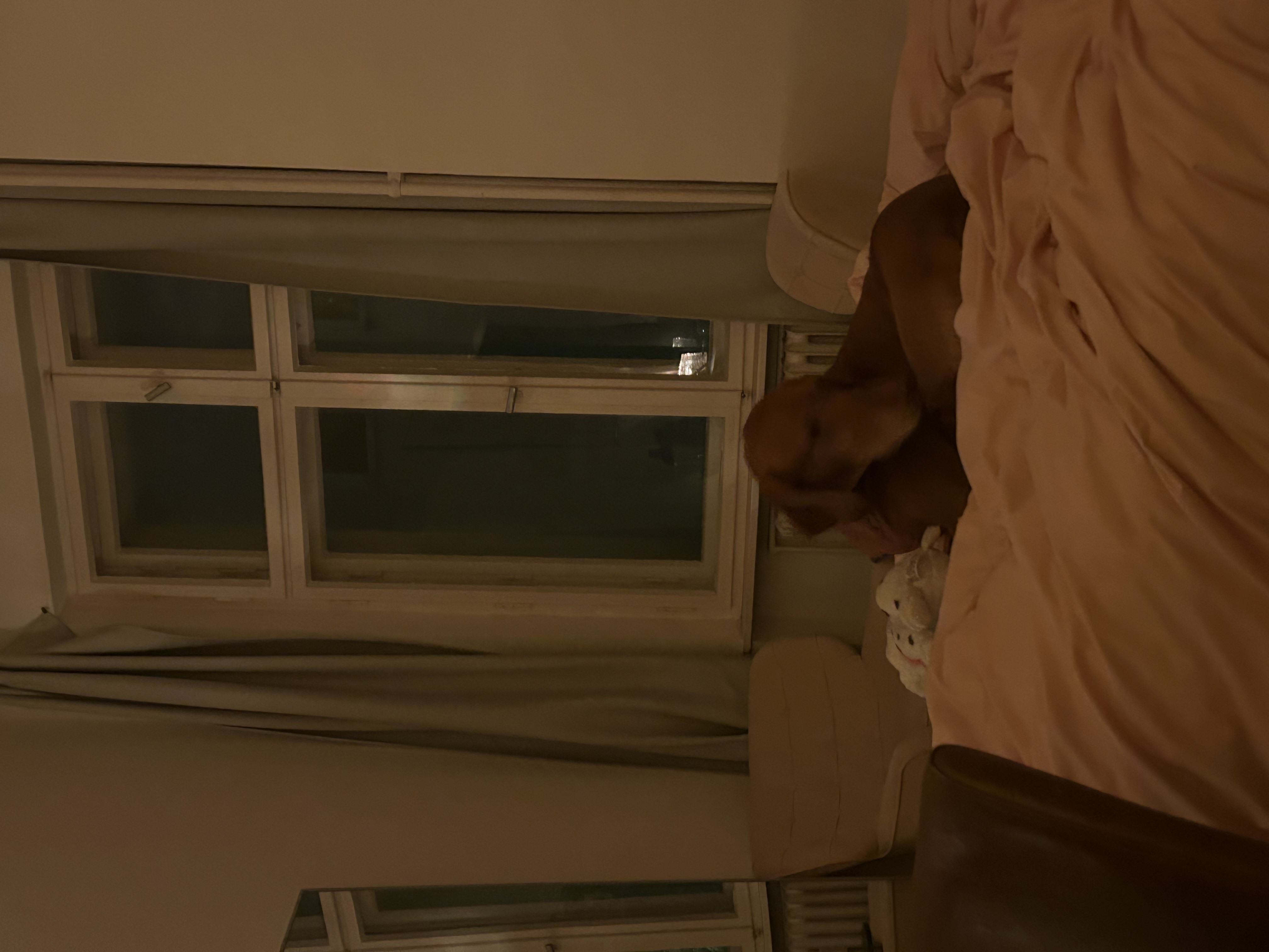 image-17