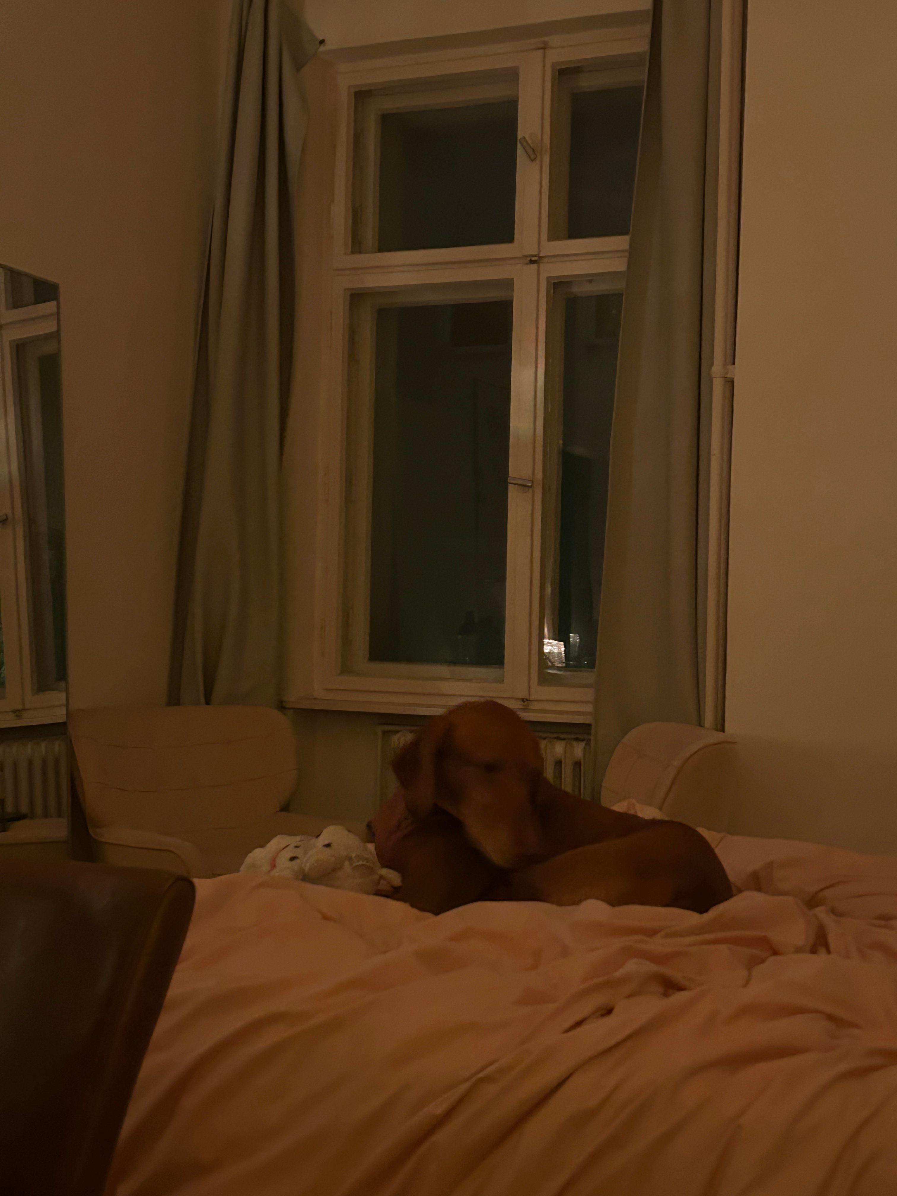 image-17