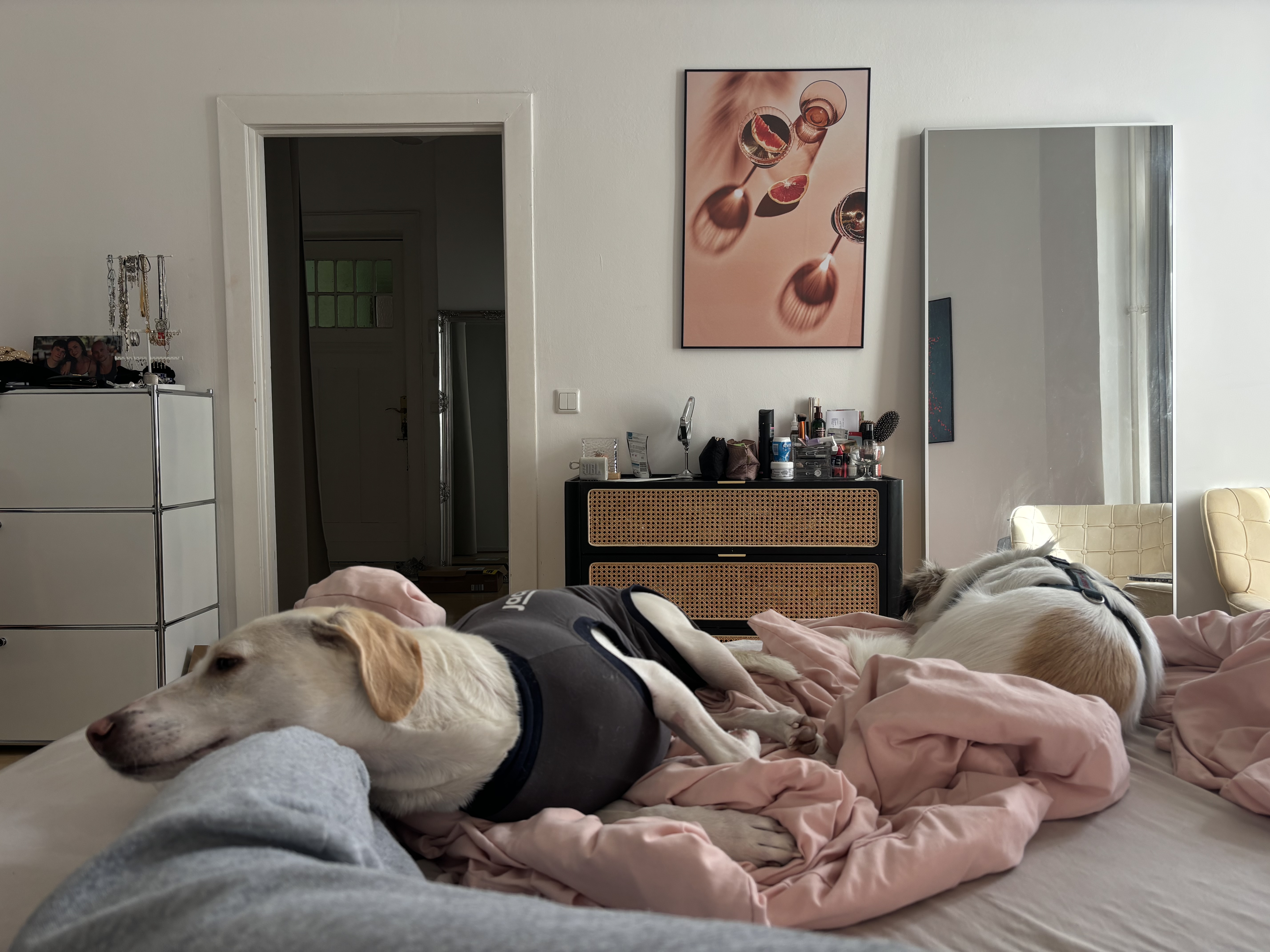 image-18