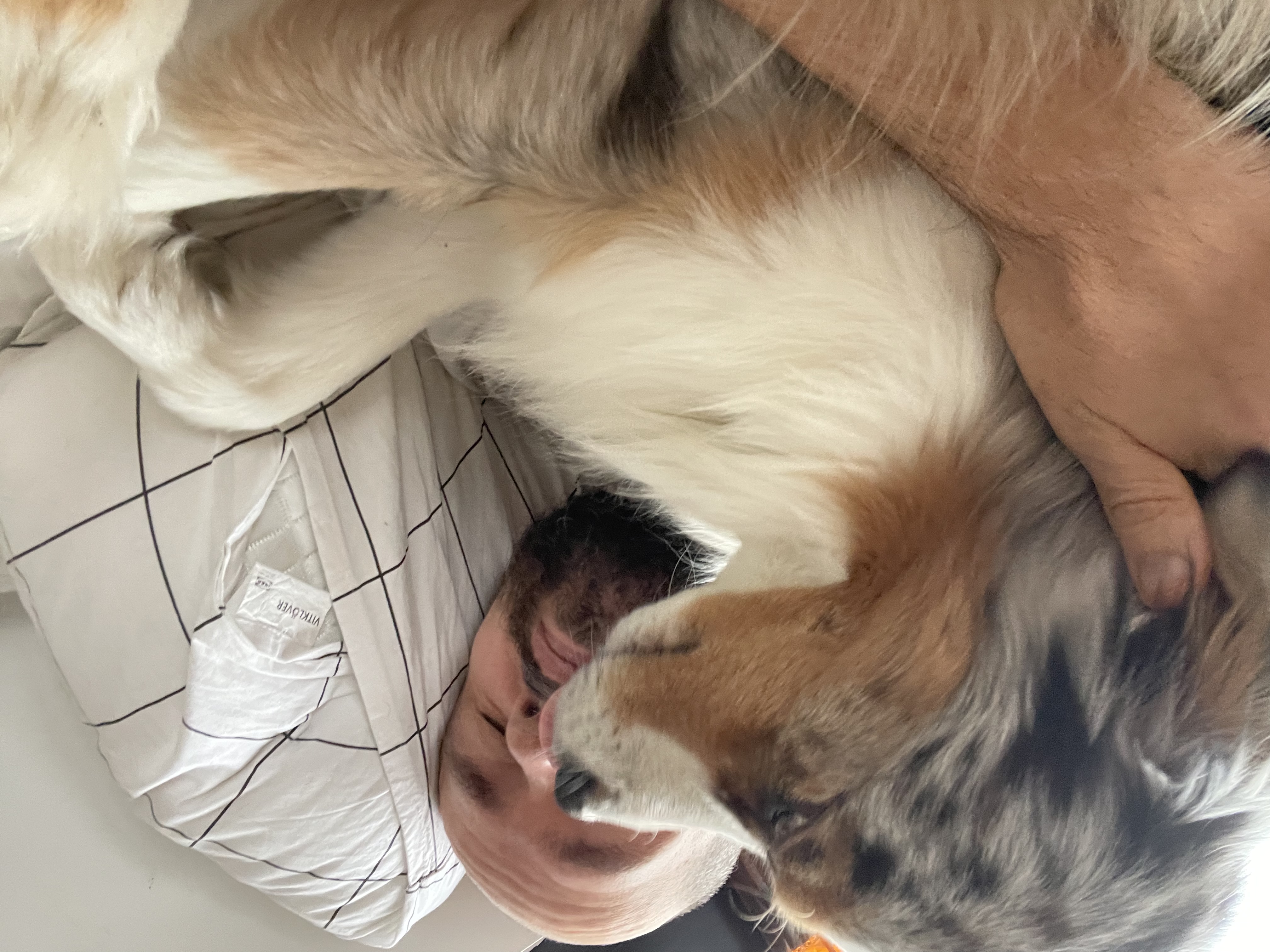 image-6