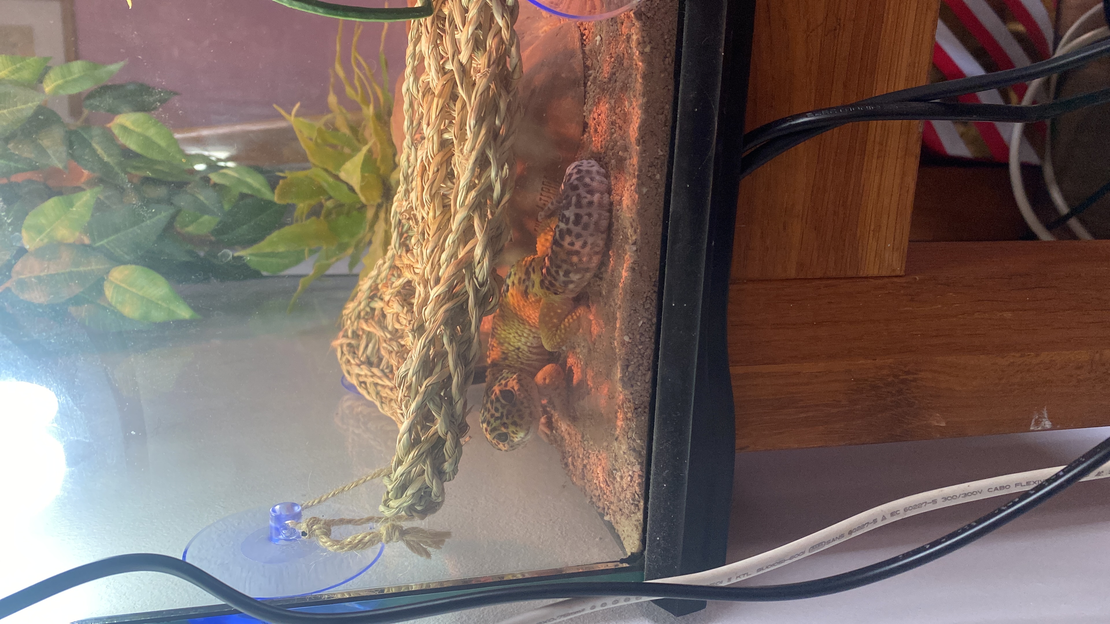 image-6