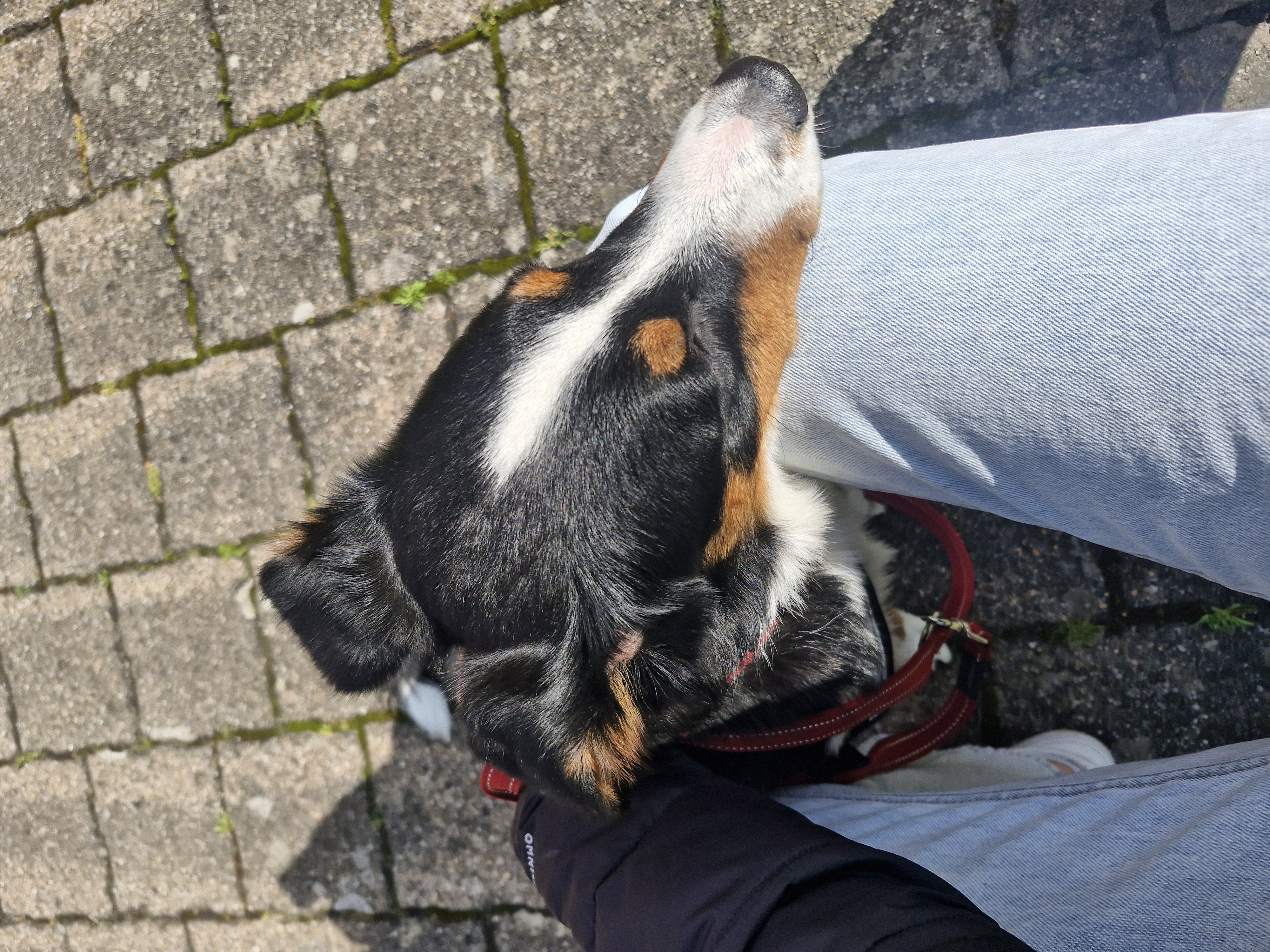image-6