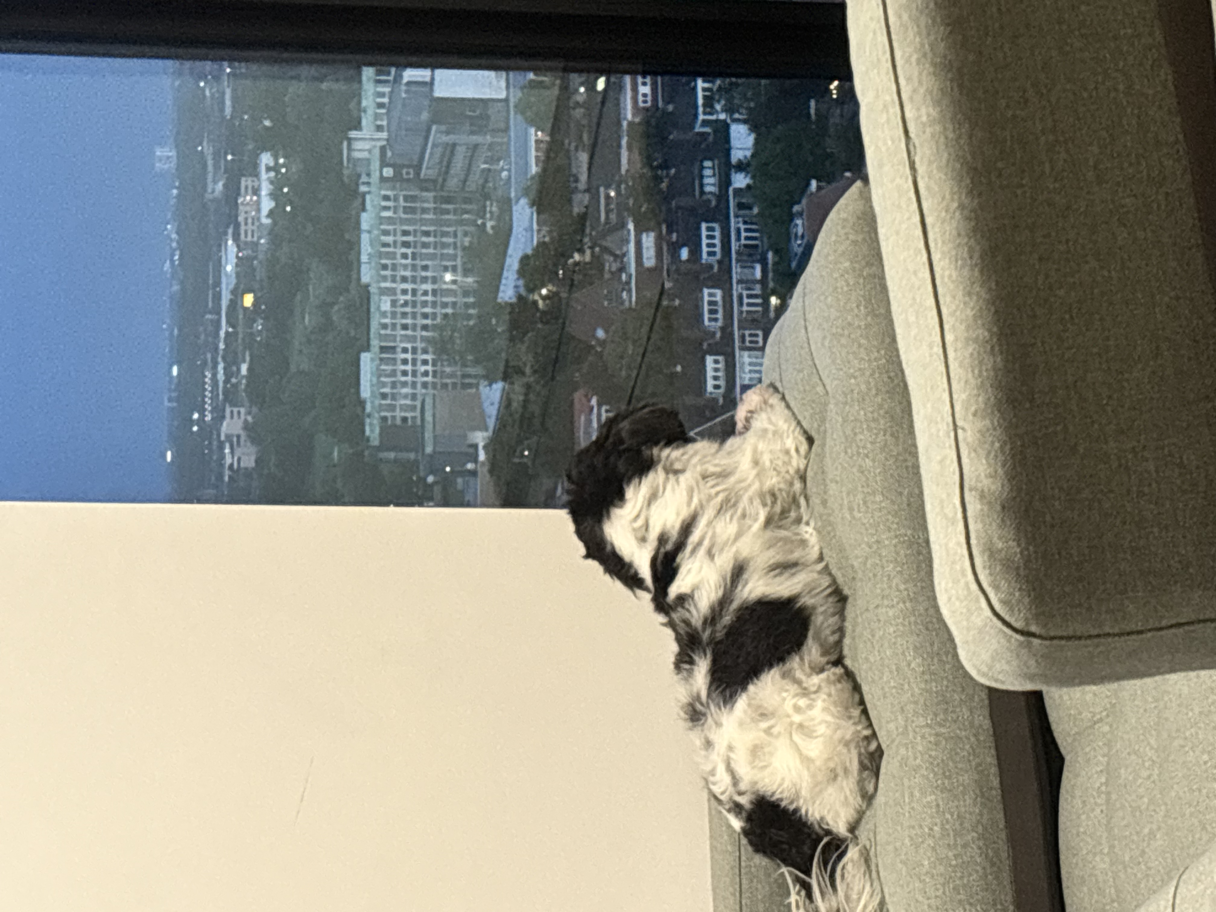 image-18