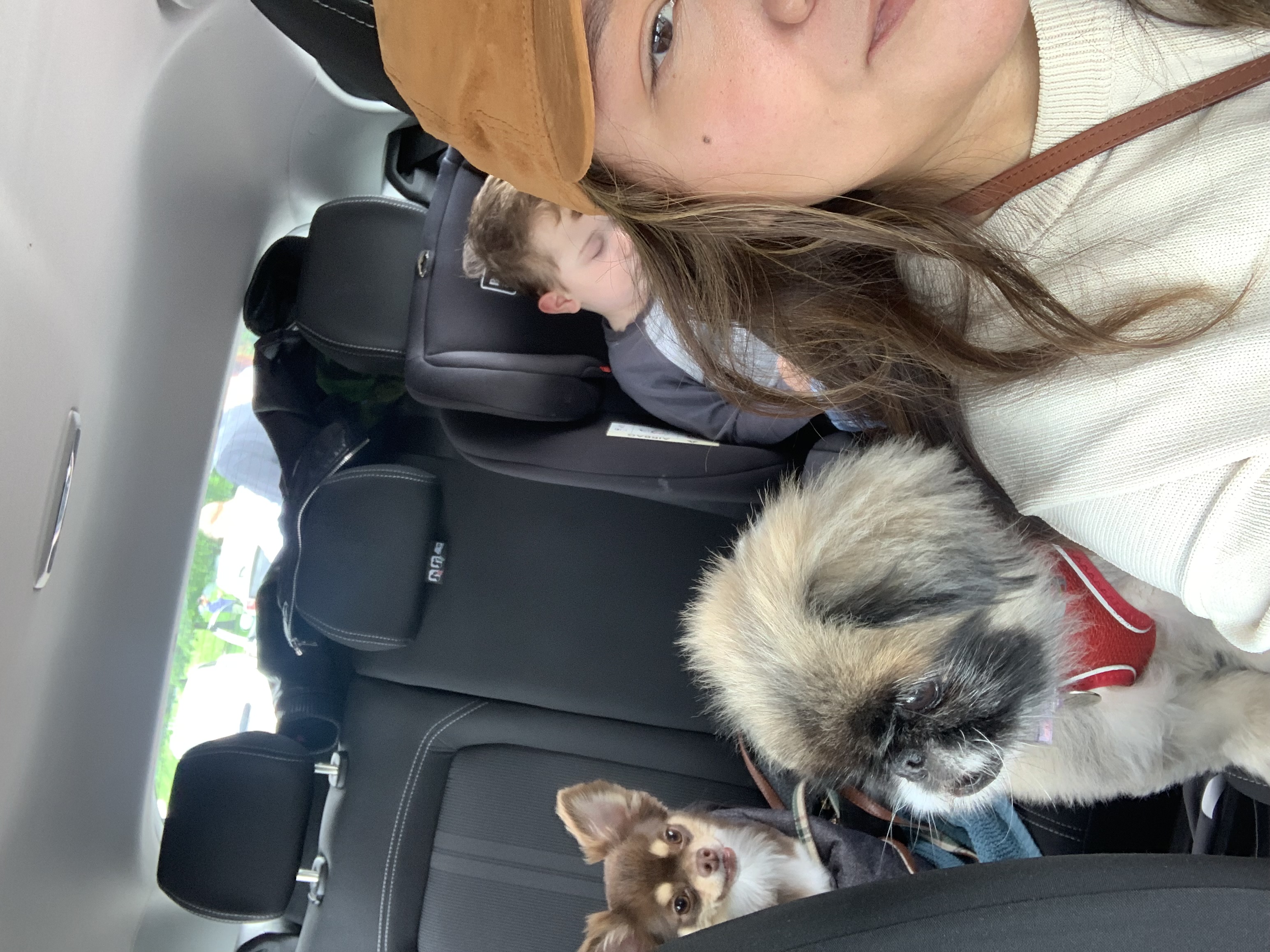 image-10