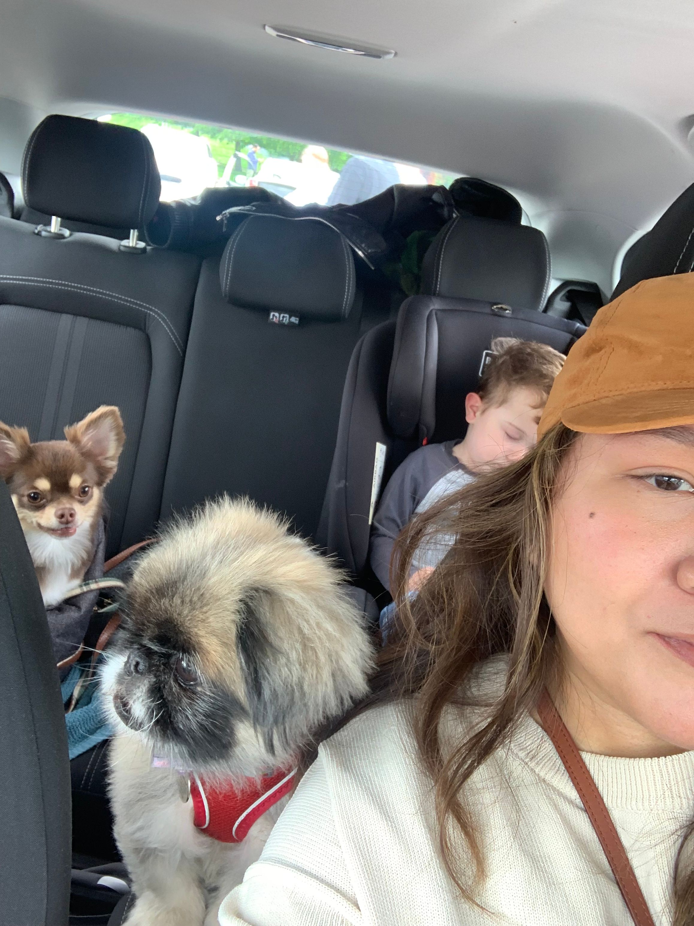 image-10