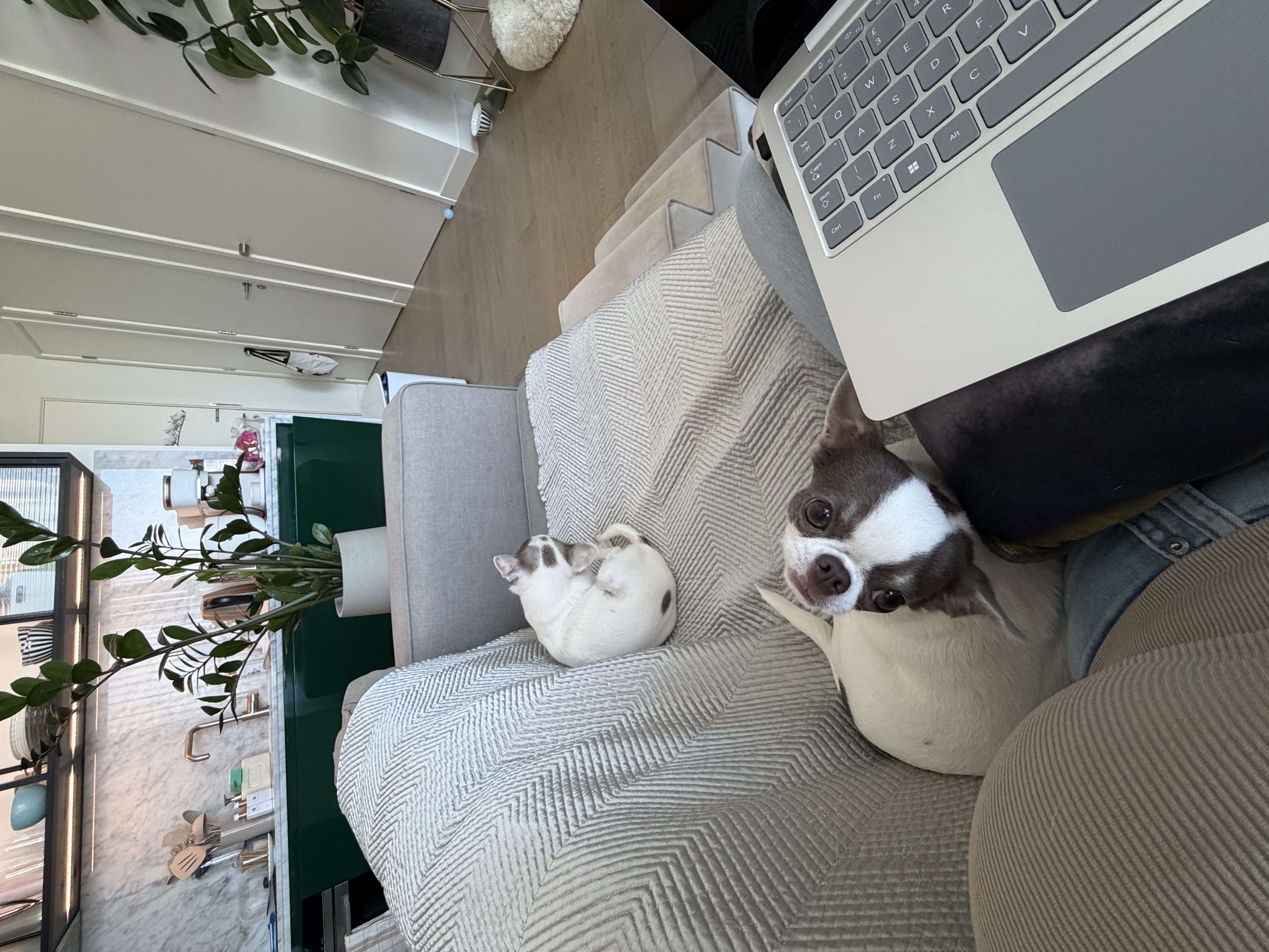 image-13