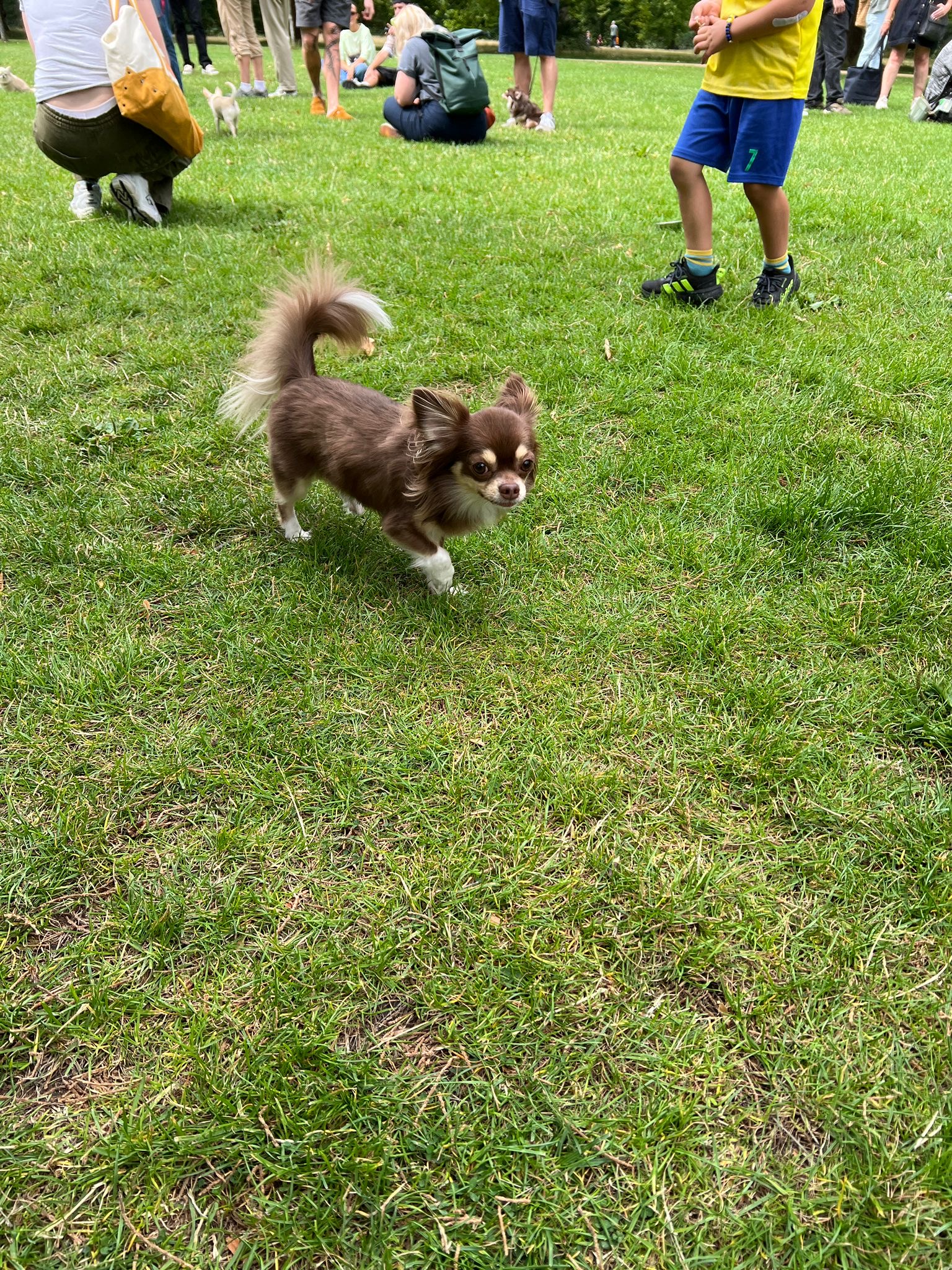 image-16