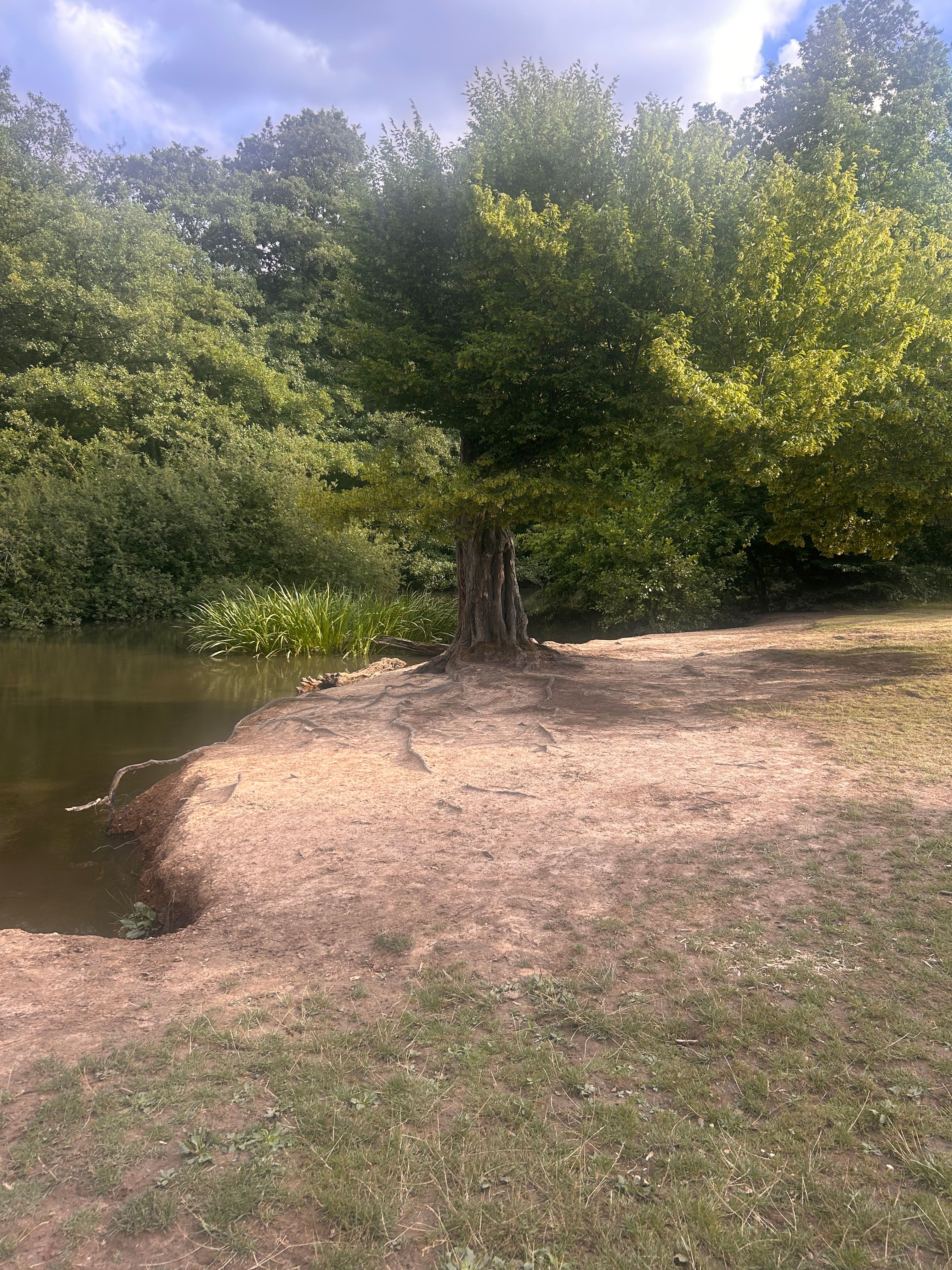 image-25