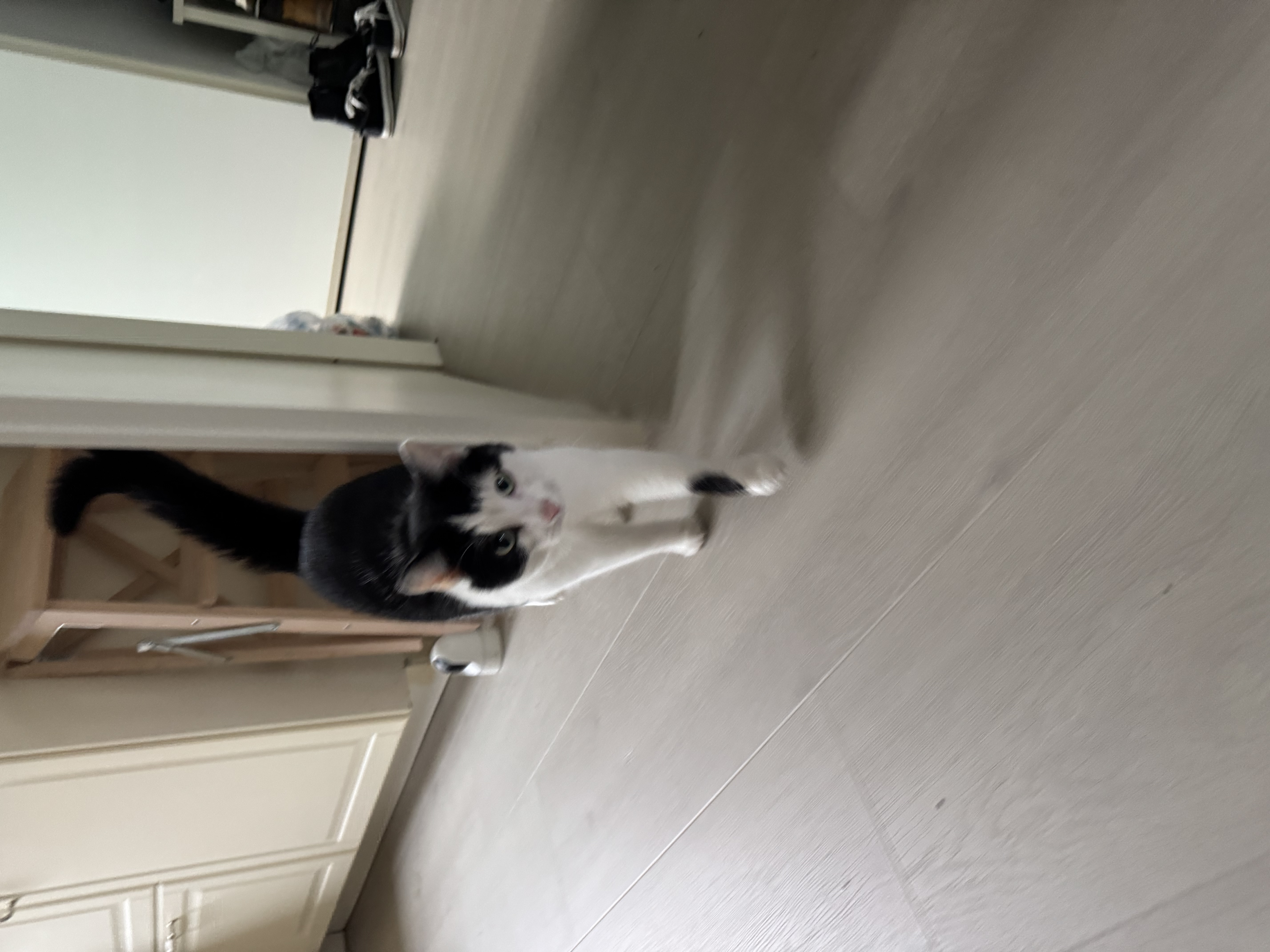 image-17