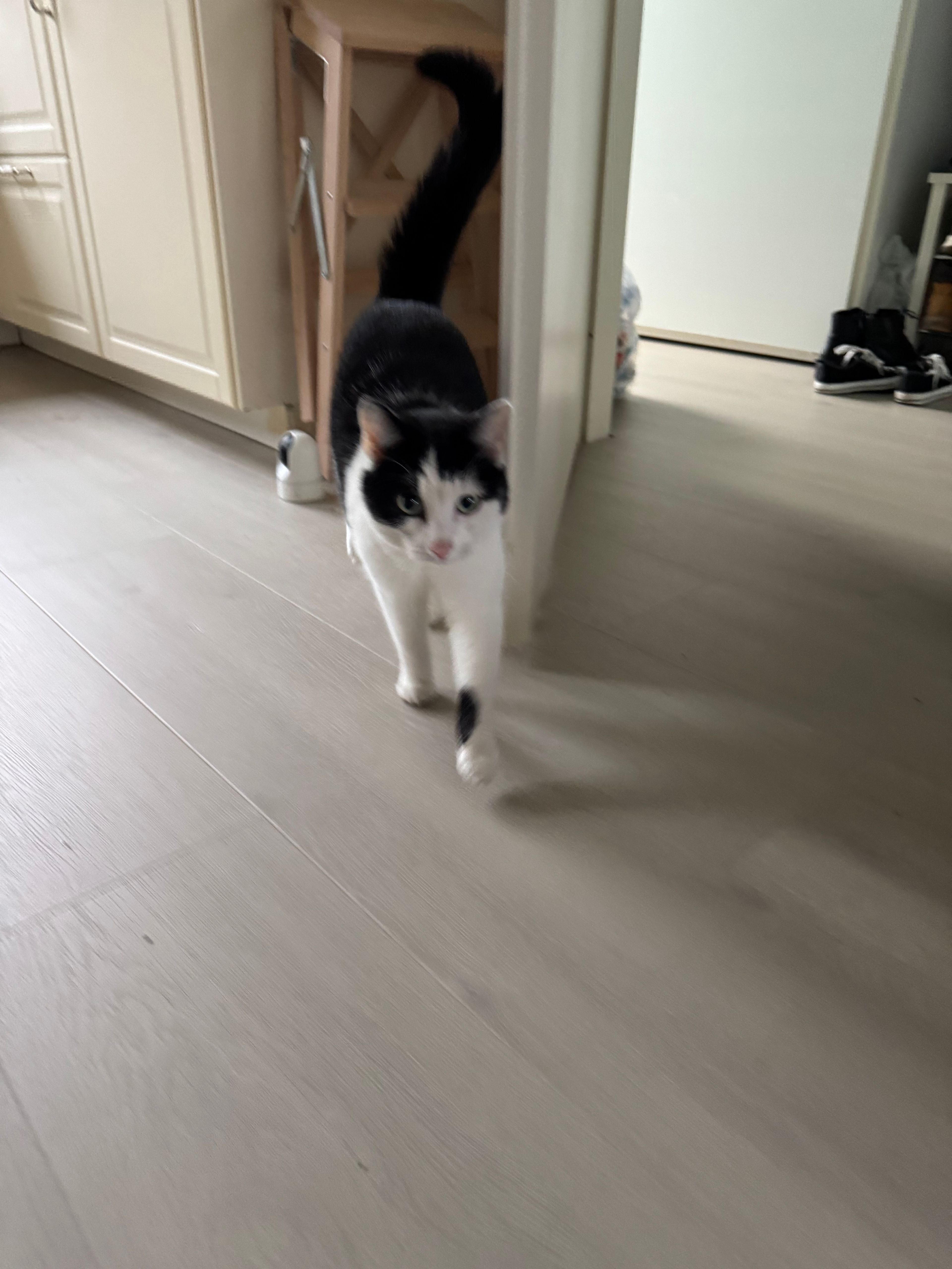 image-17