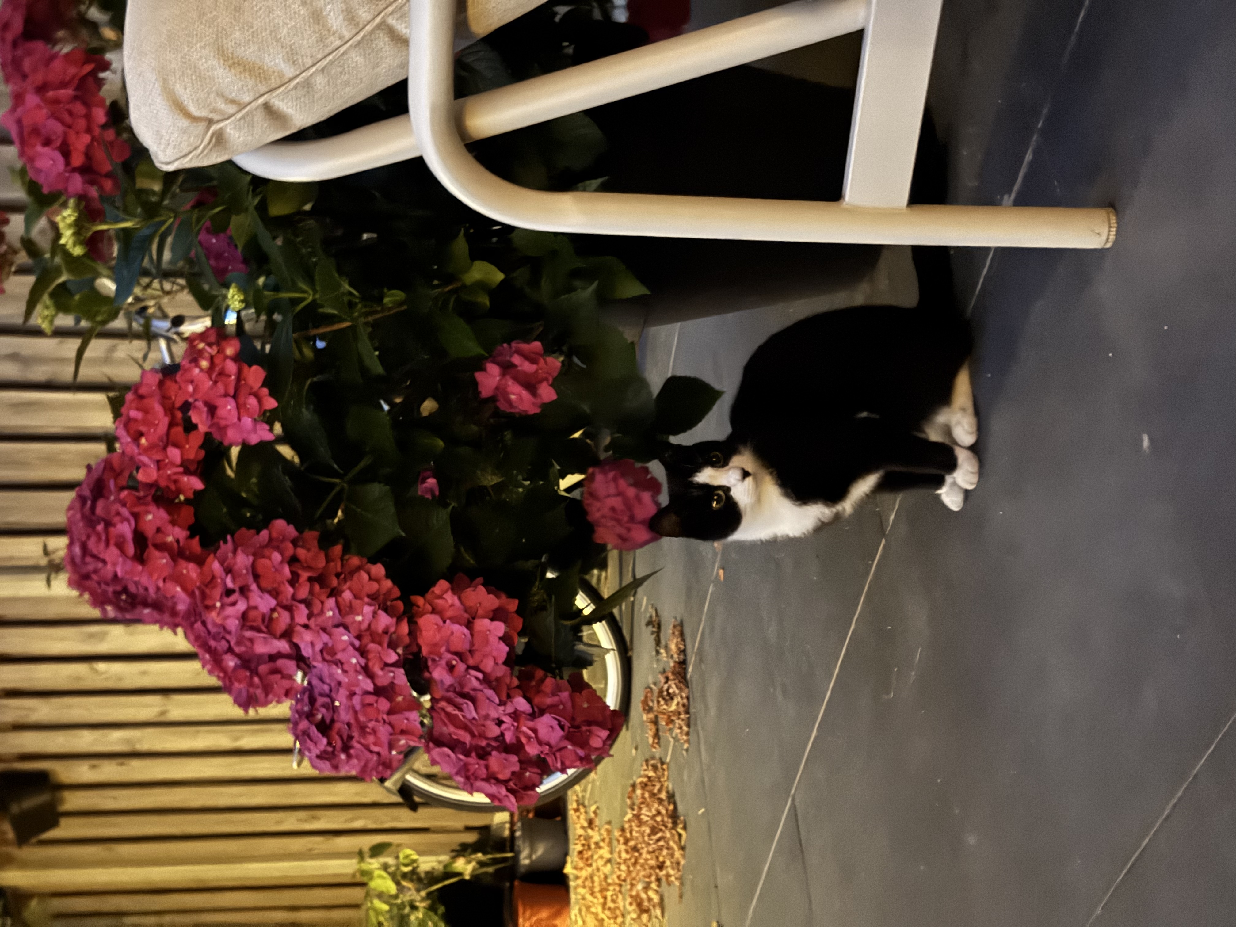 image-13