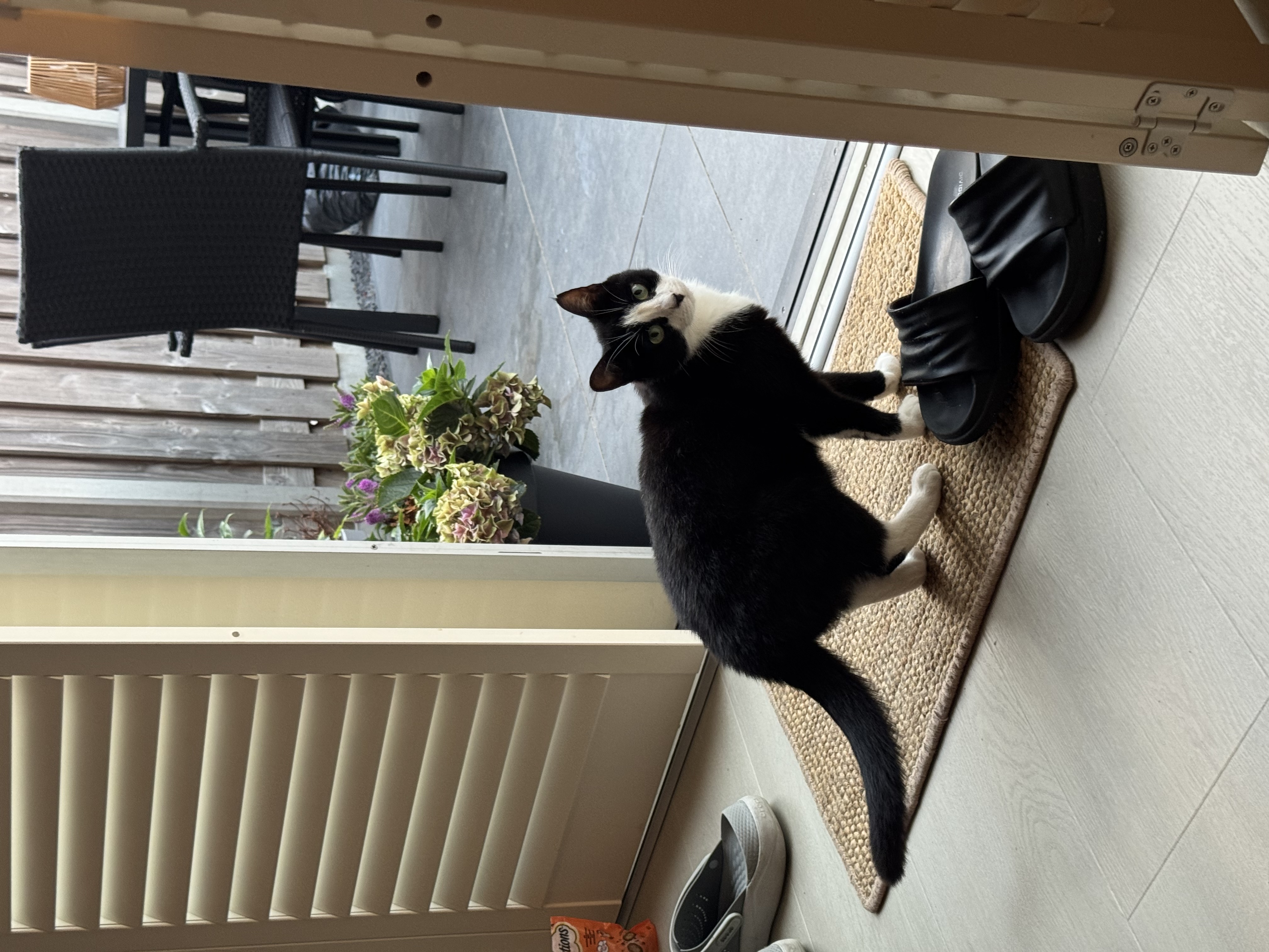 image-18