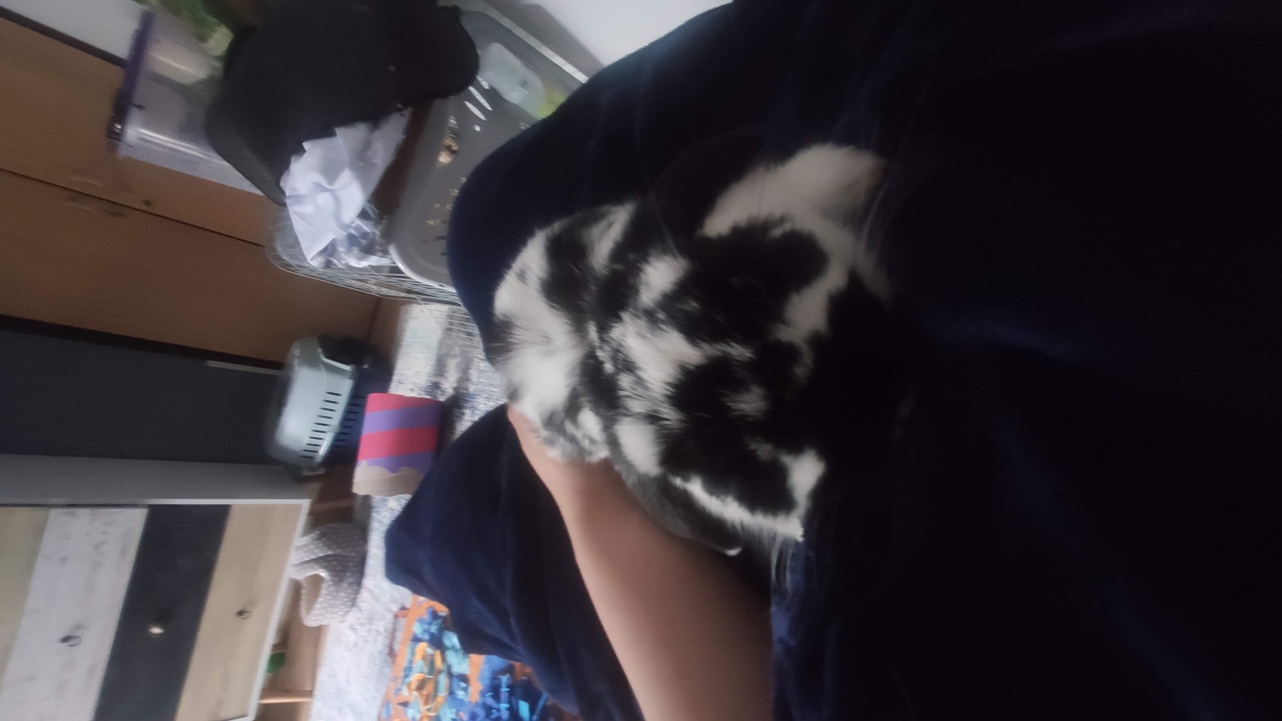 image-8
