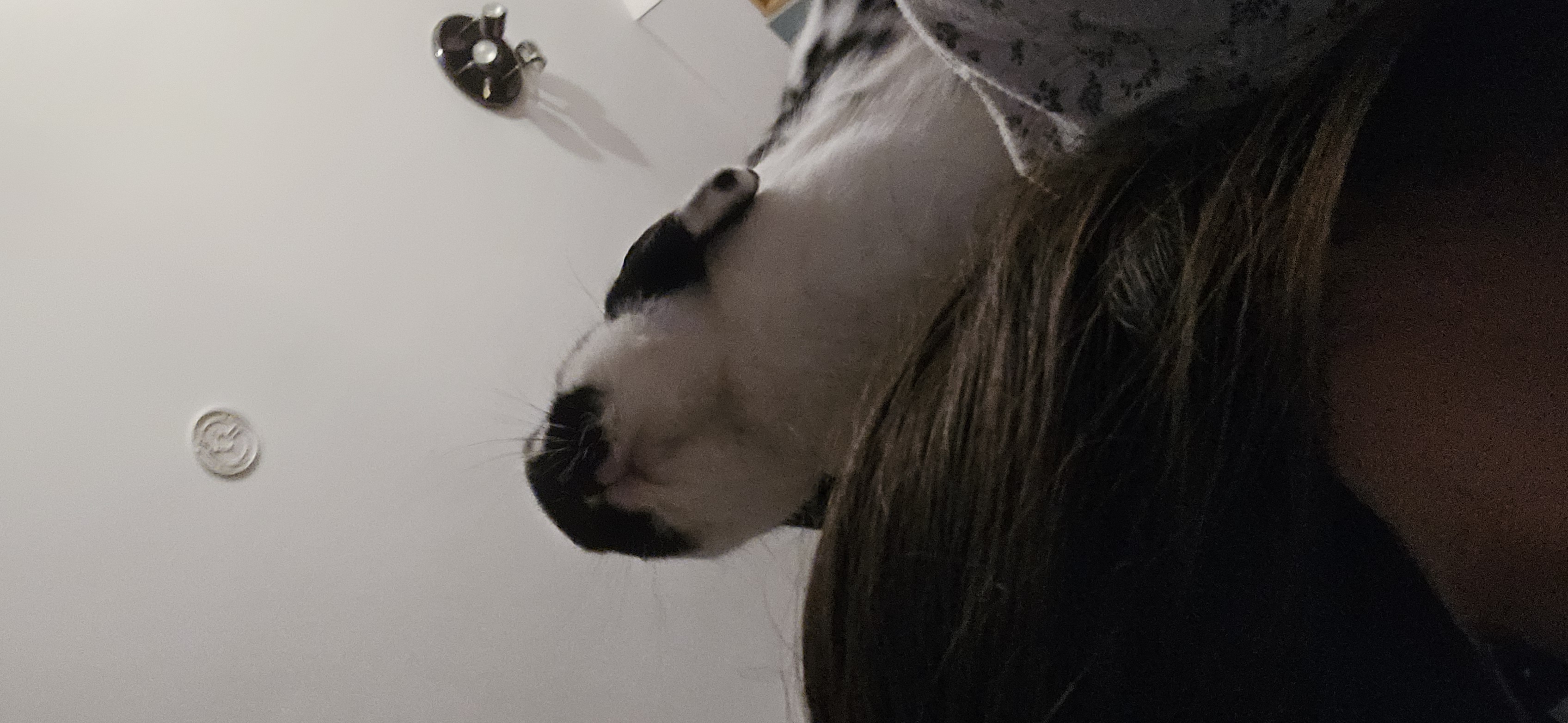 image-11