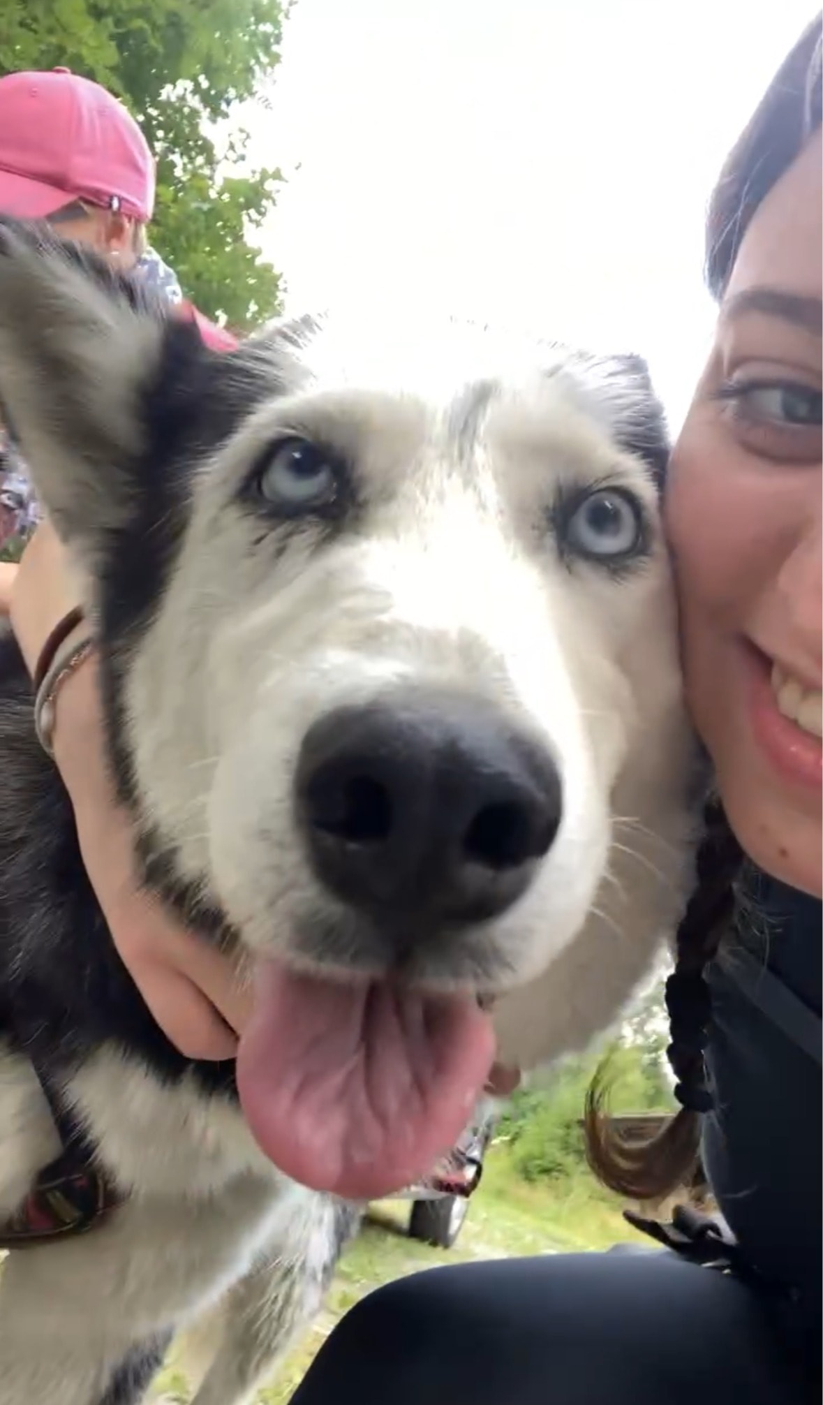 image-3