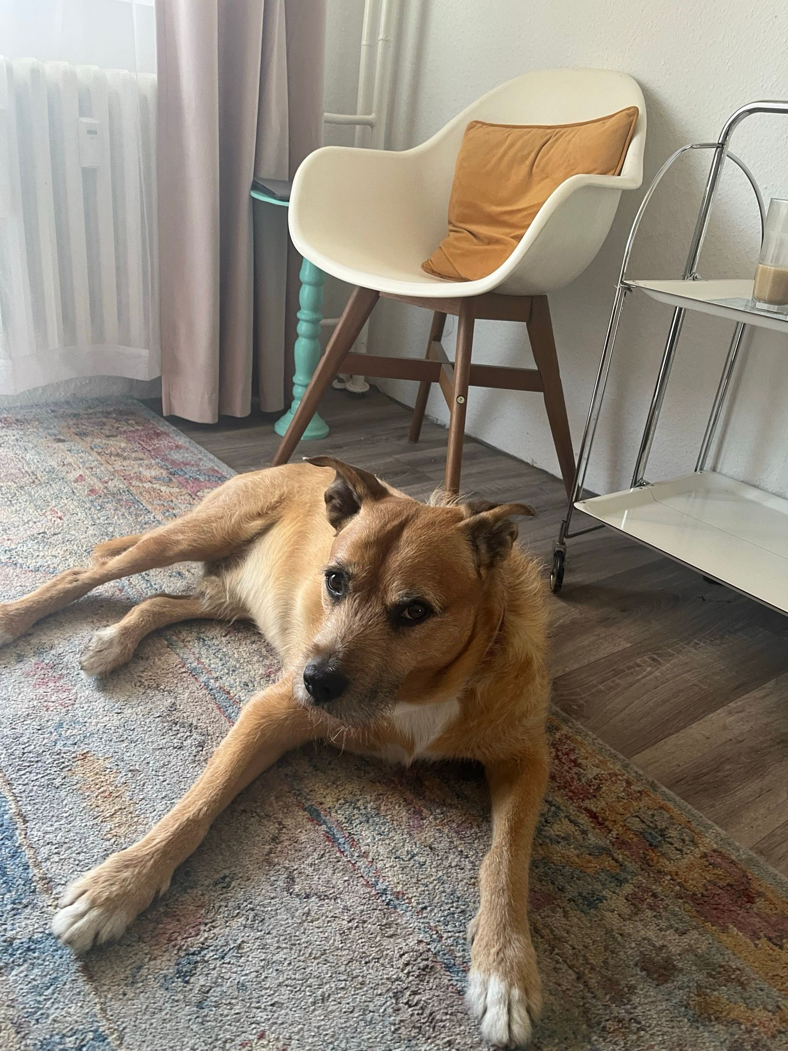 image-9