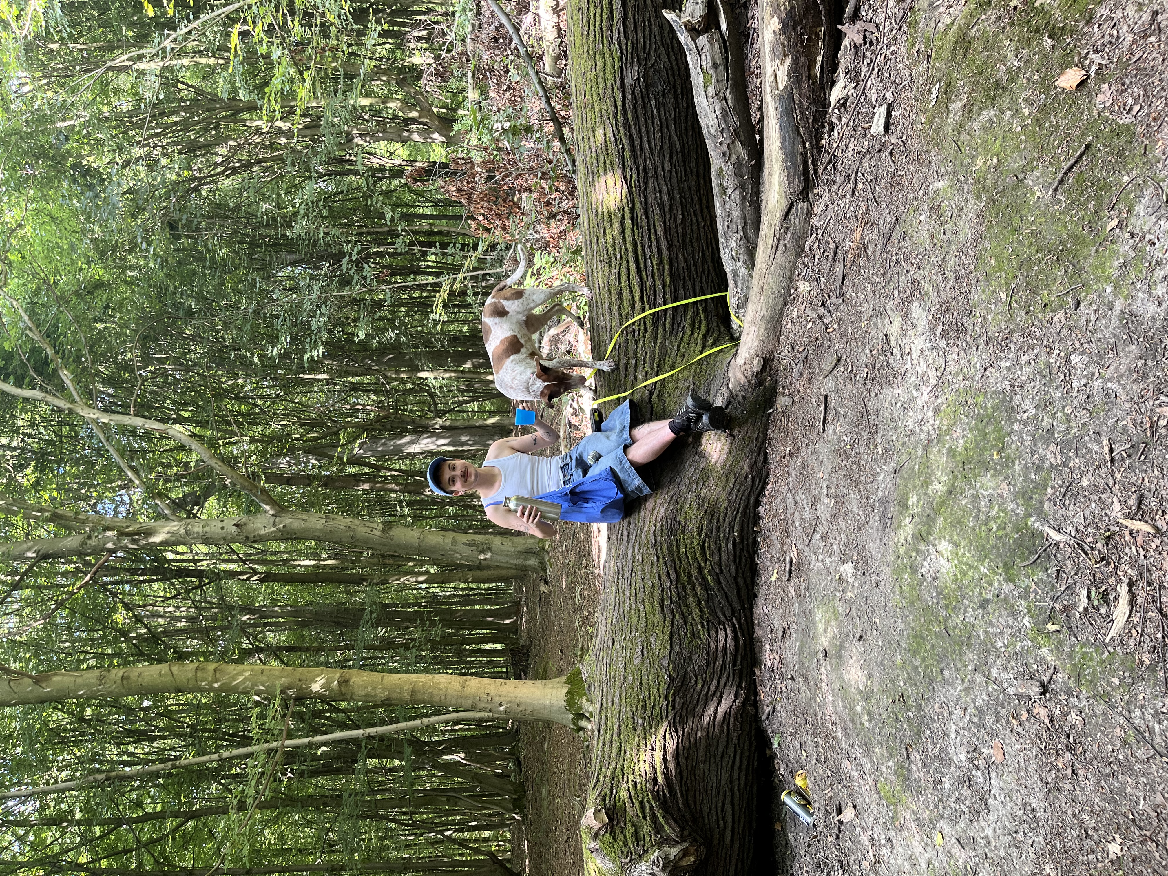 image-13