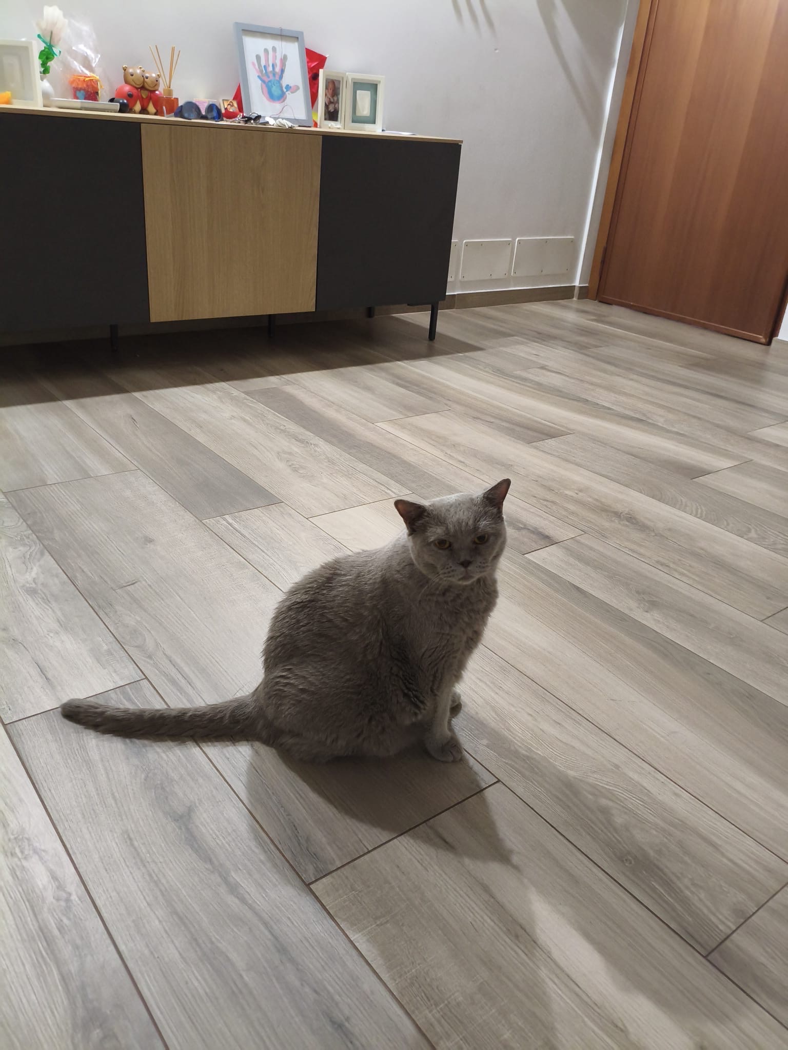 image-6