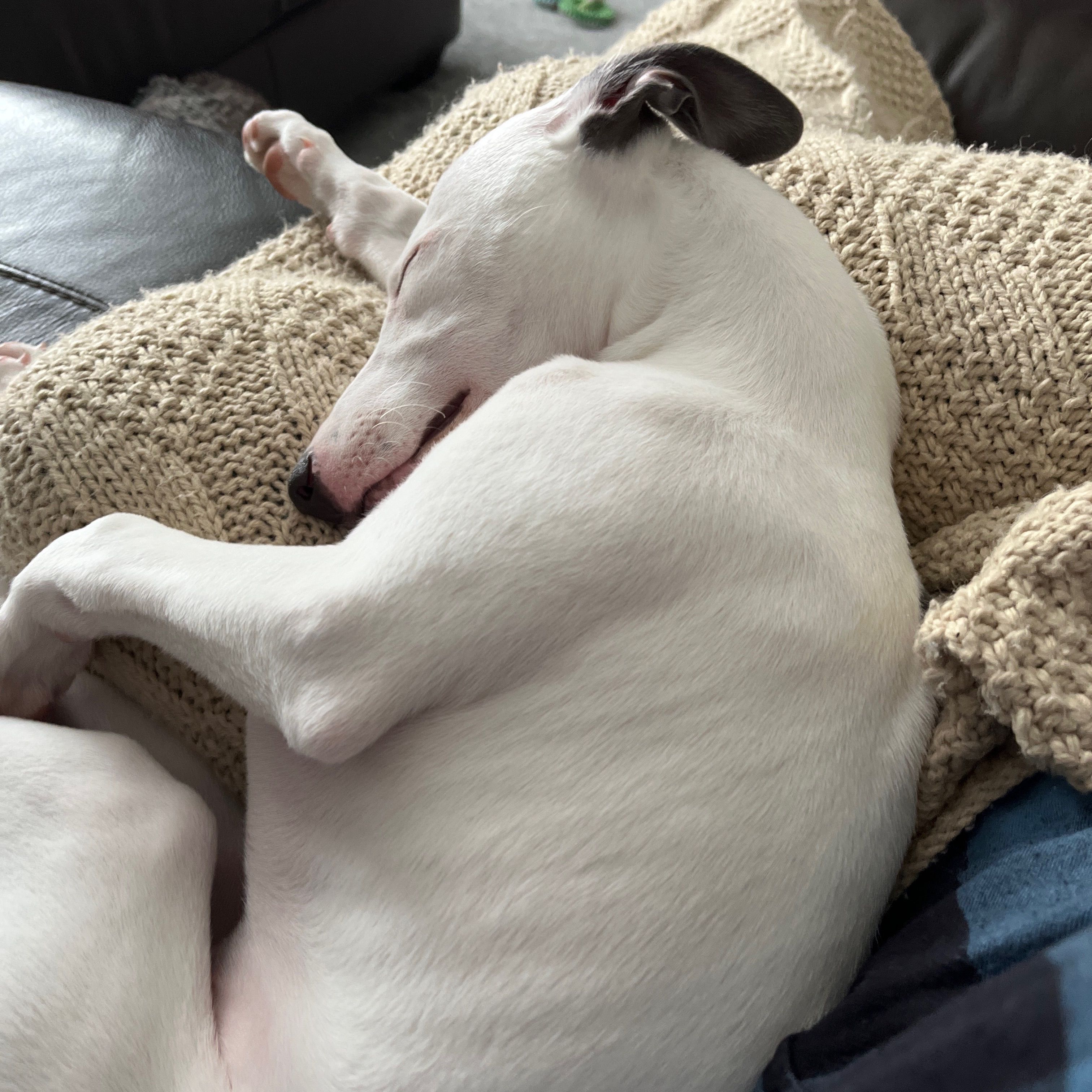 Nala