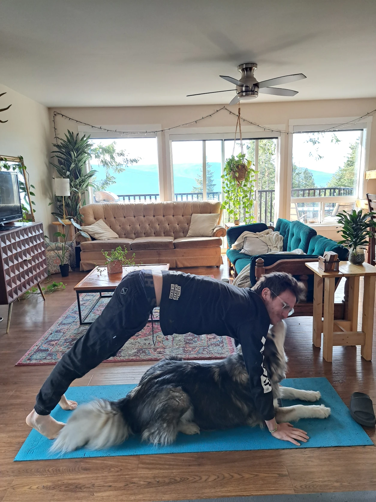 image-6