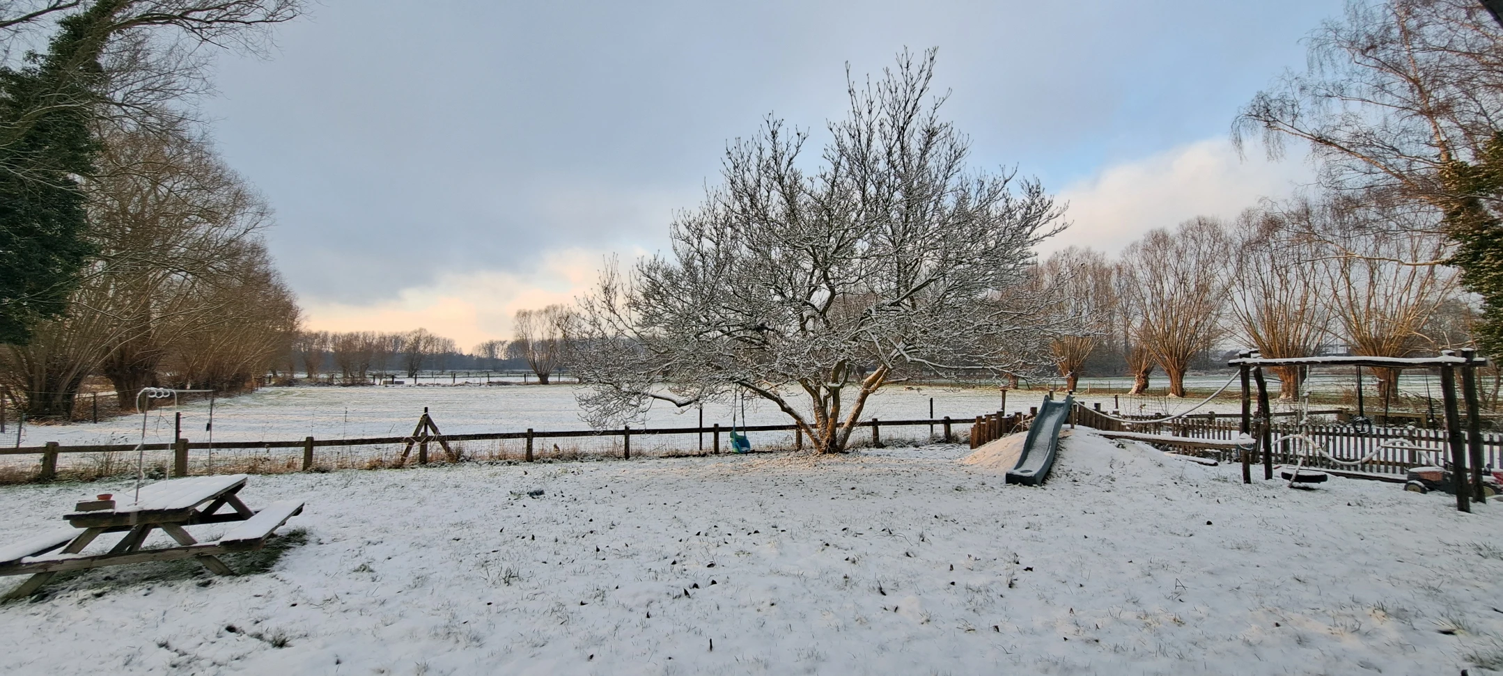 image-14