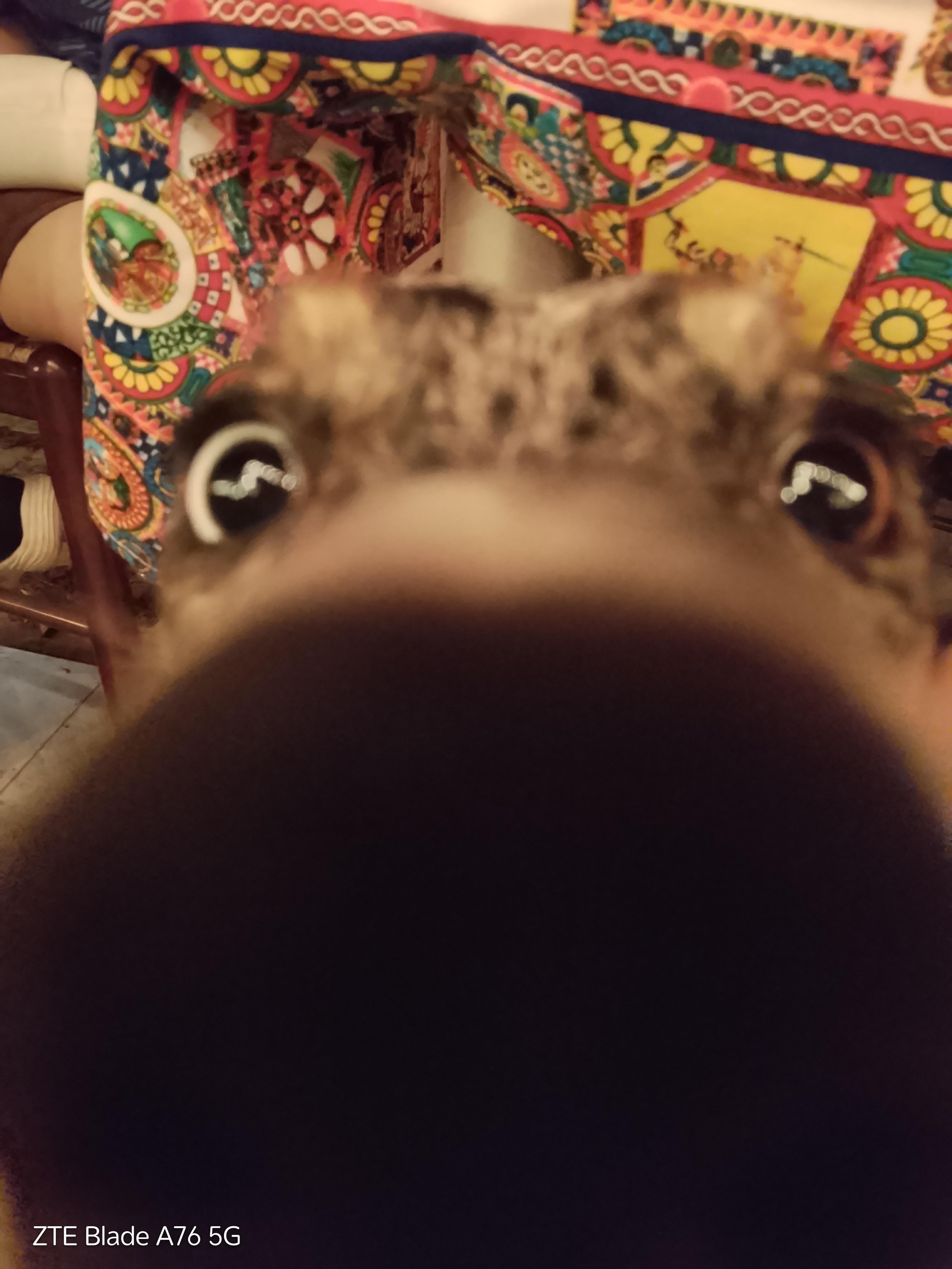 image-7