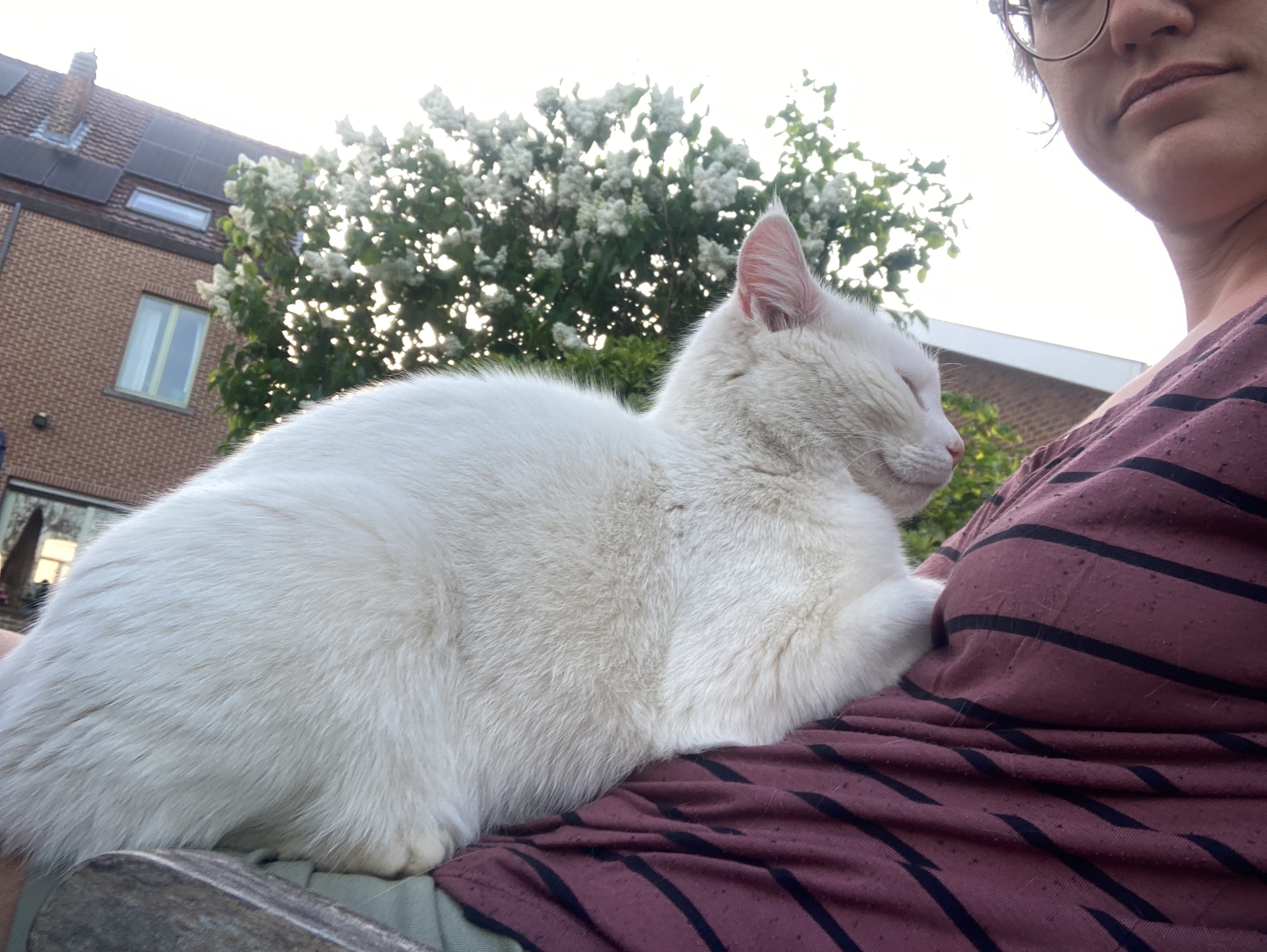 image-11