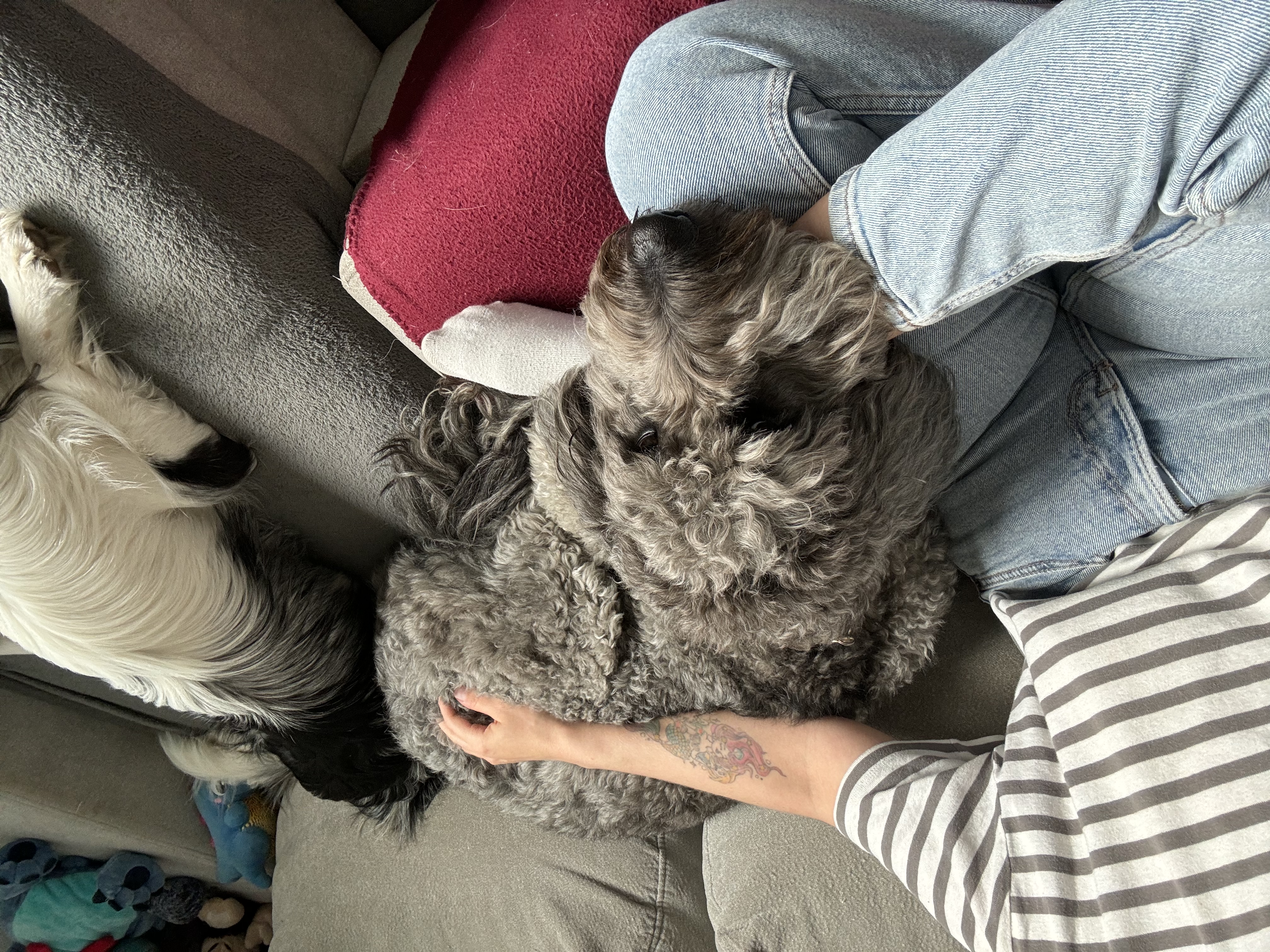 image-3