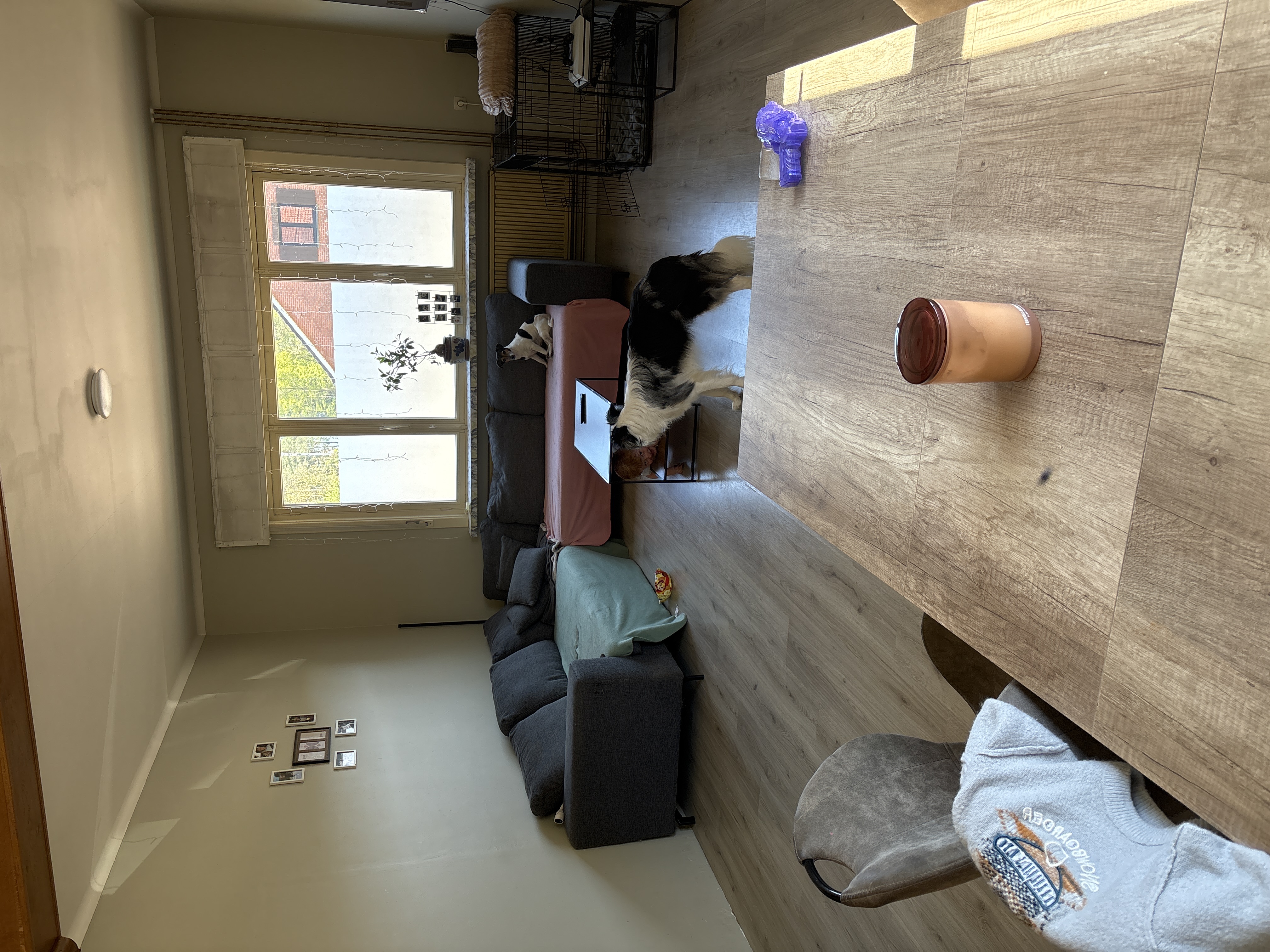image-9