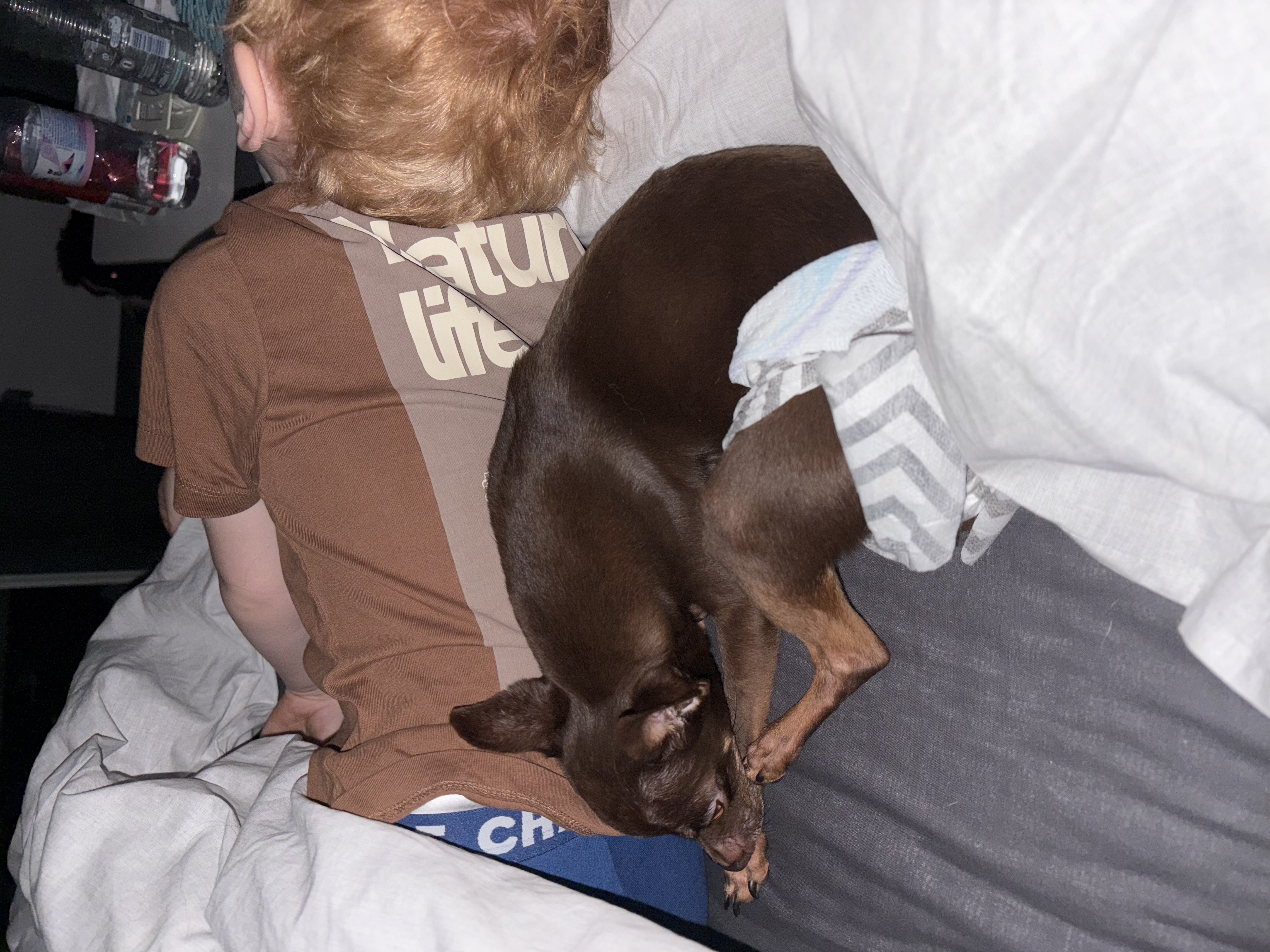 image-7