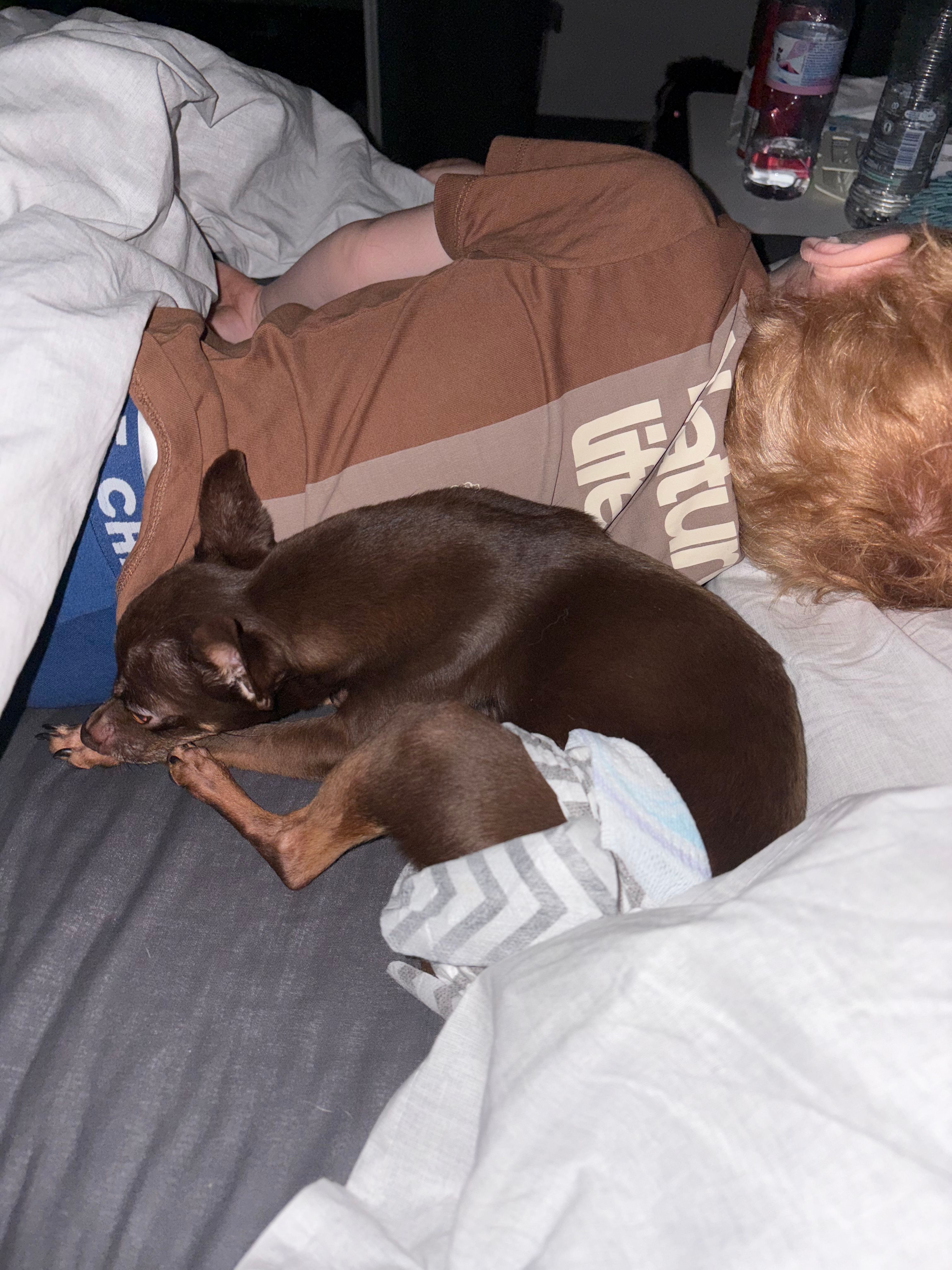image-7